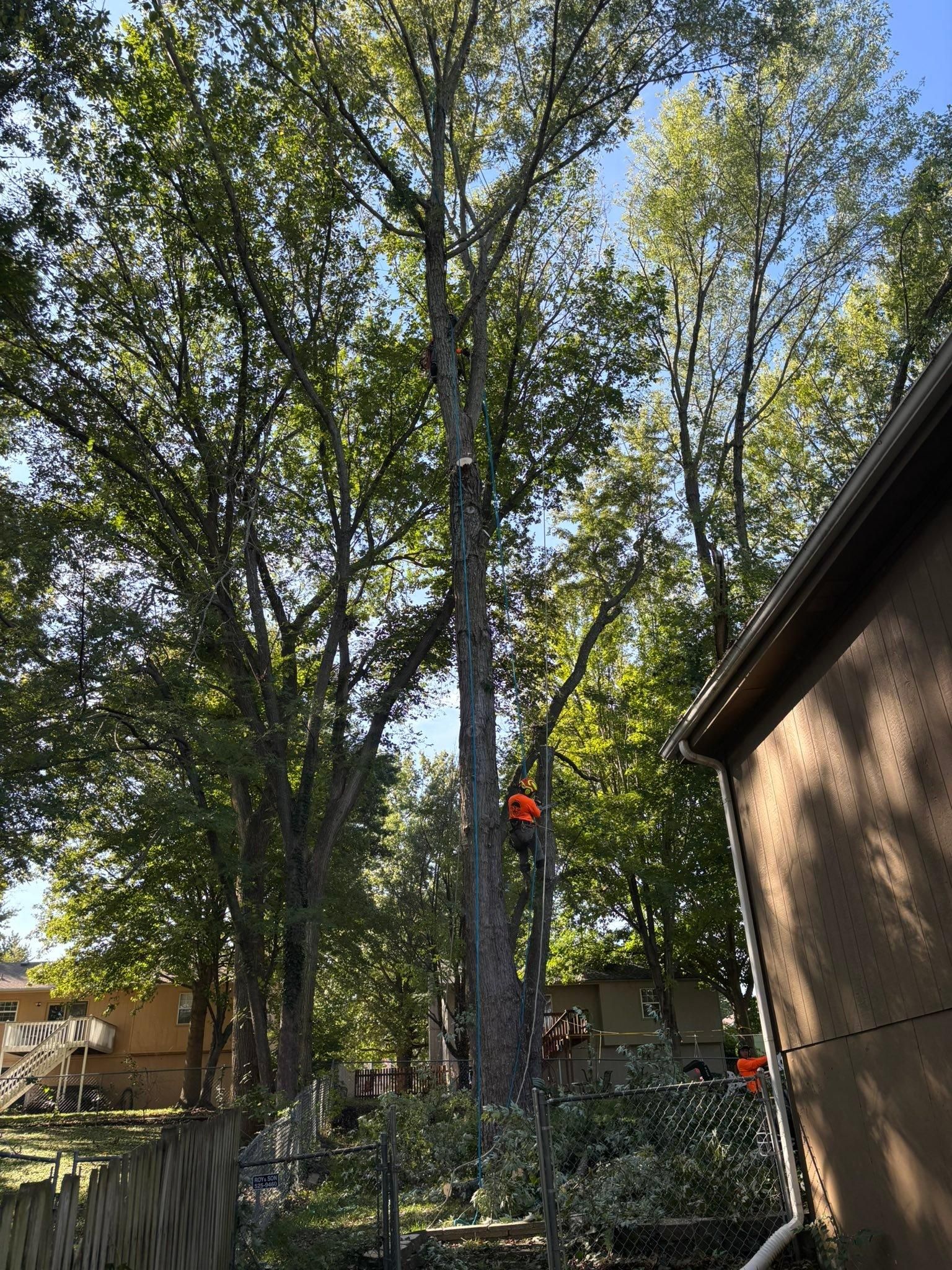 All Photos for Cross Family Tree Service in Kearney, MO