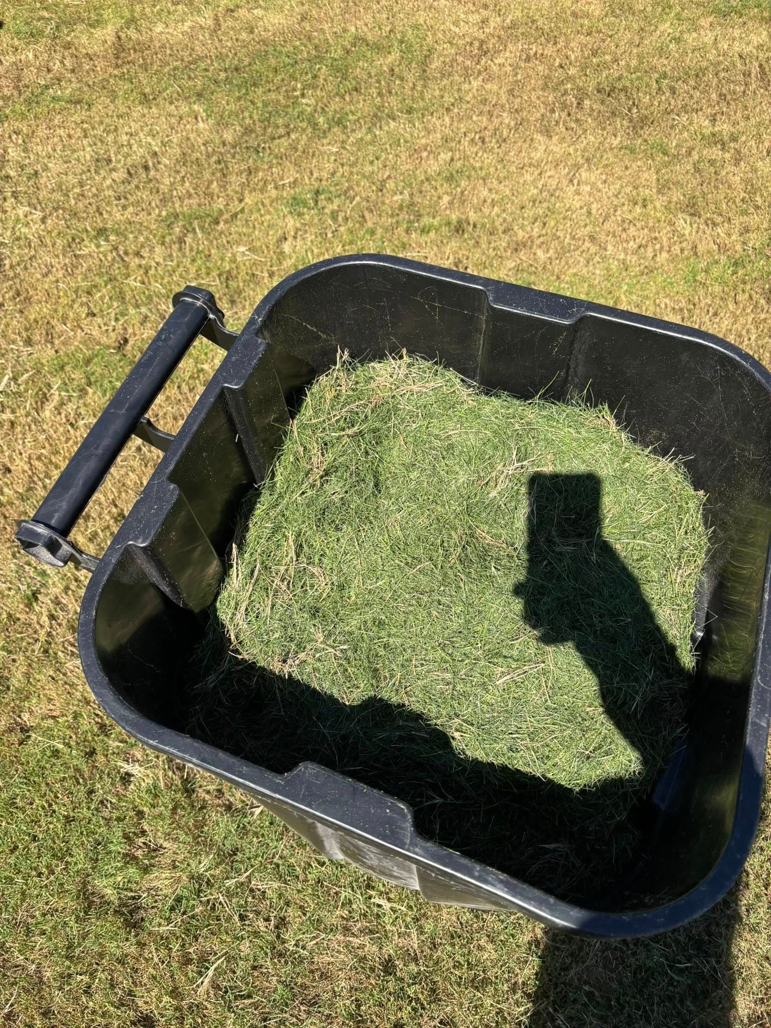  for Eady’s Lawn Care in Winder, GA