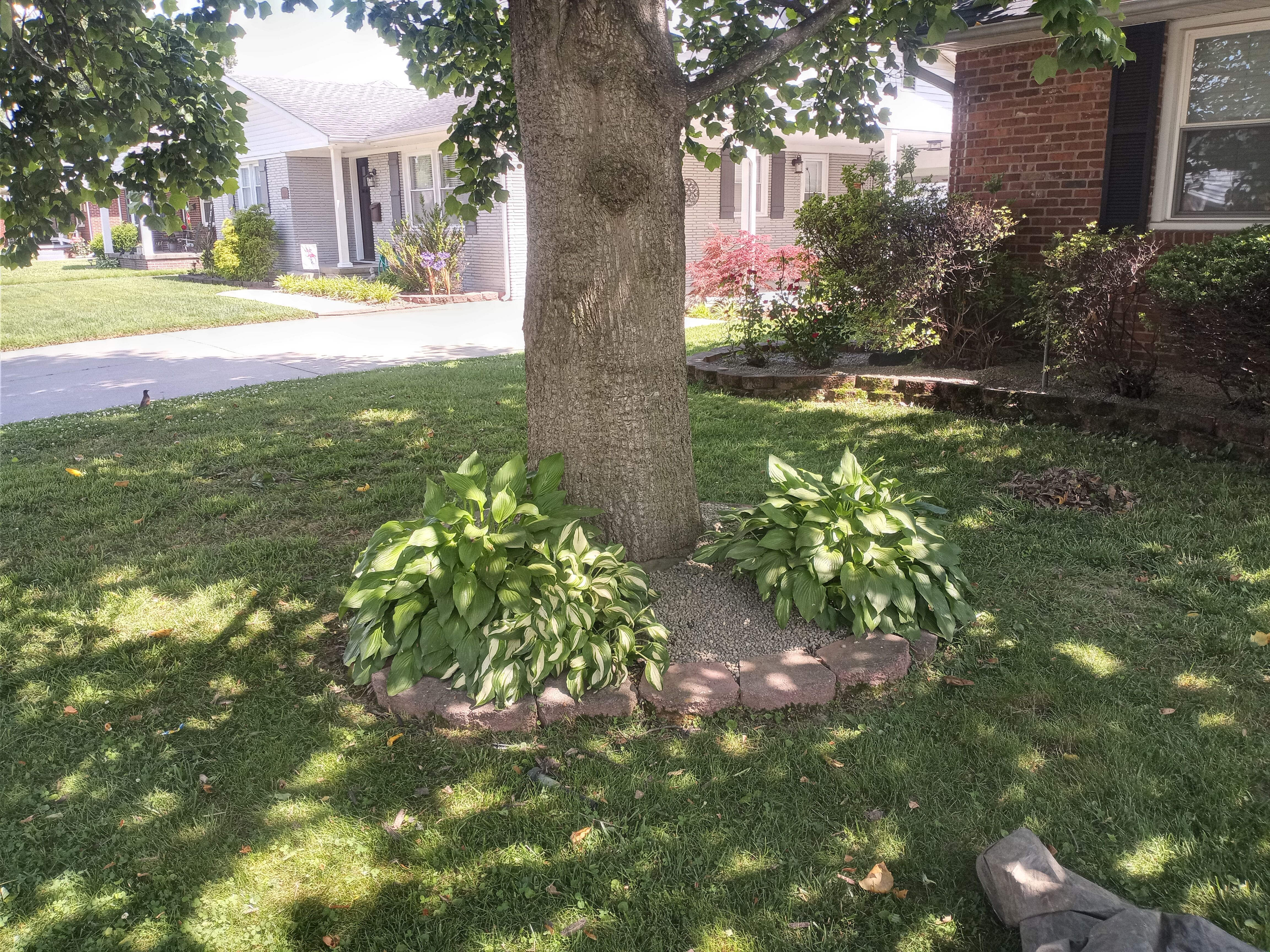 Exterior Renovations for E and C Handyman and Construction in Owensboro, KY