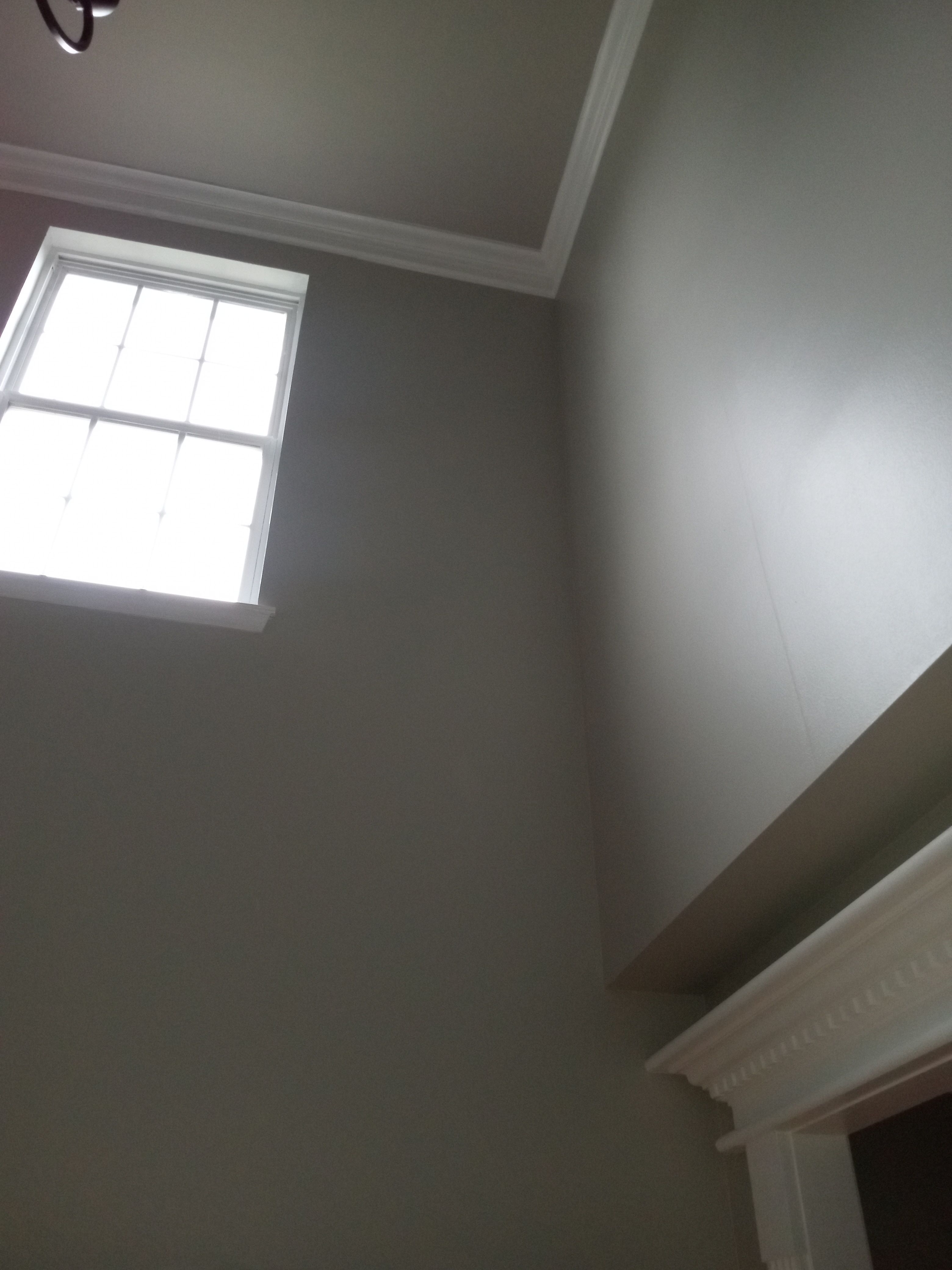  for Randy's Painting and Drywall Services LLC in Easton, Pennsylvania