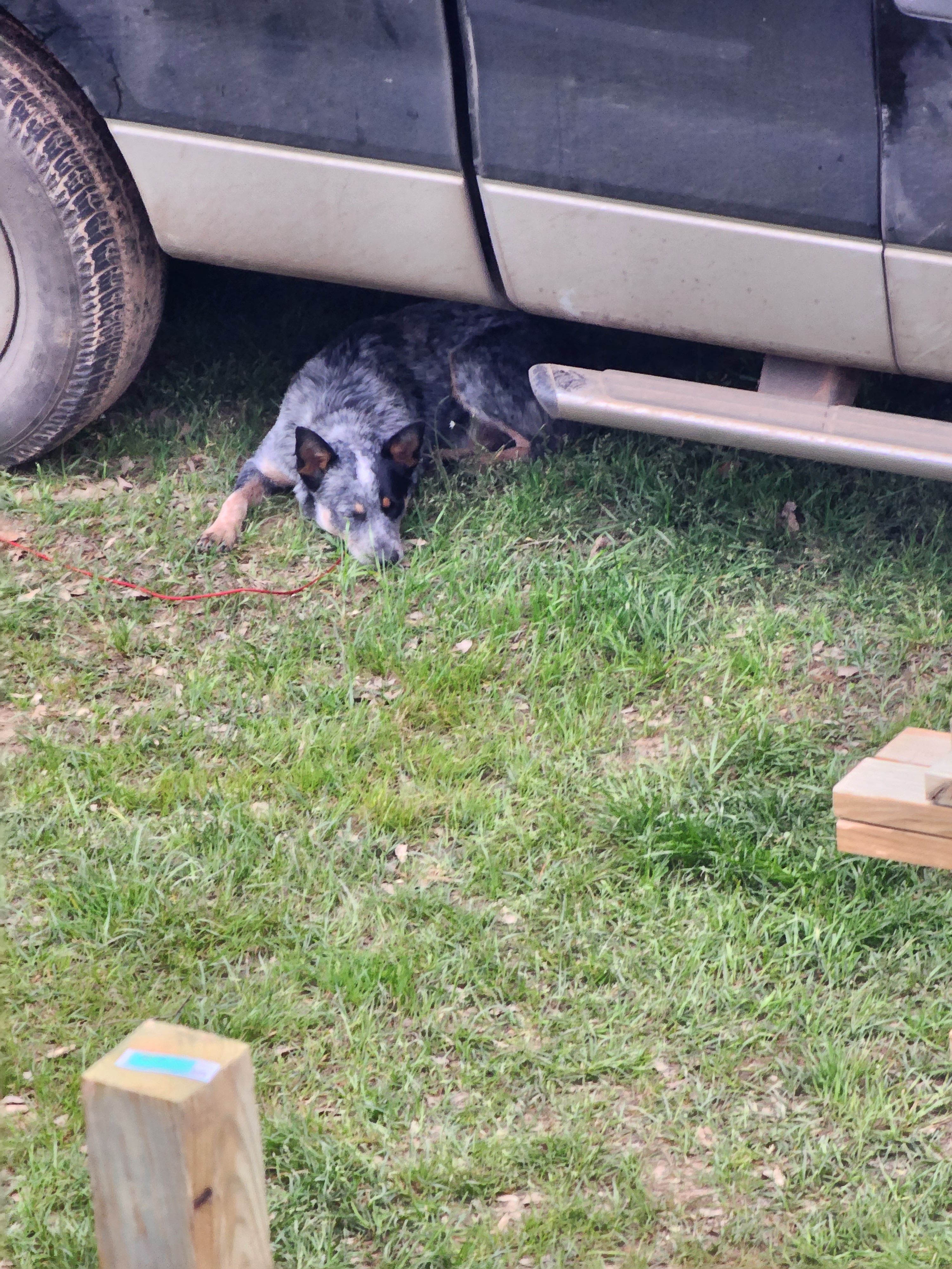  for S.W. Construction in Center, TX