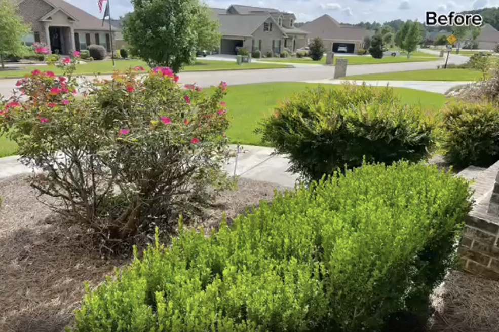  for Velsain Landscapes in Warner Robins, GA