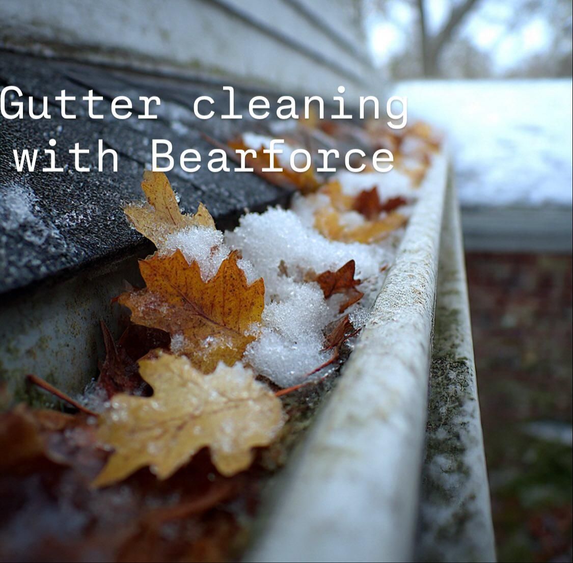  for Bearforce Lawn Care LLC in Greenfield, IN