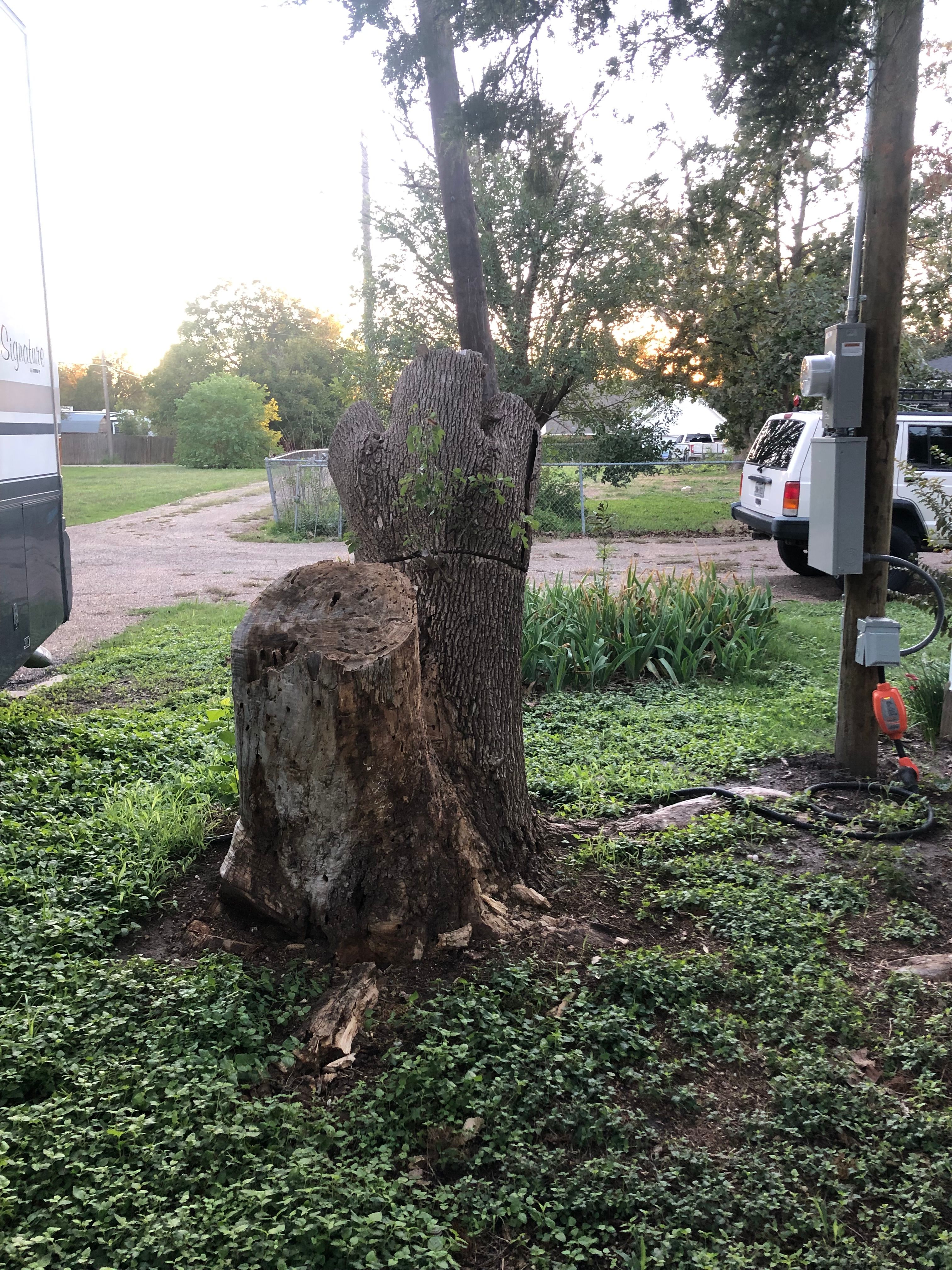  for Piña’s Lawncare in Waco, TX