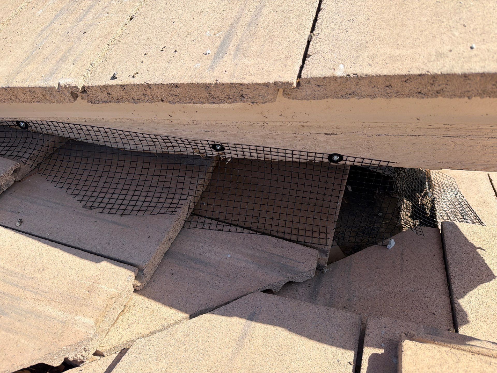  for Olson & Sons Contracting in Mesa, AZ