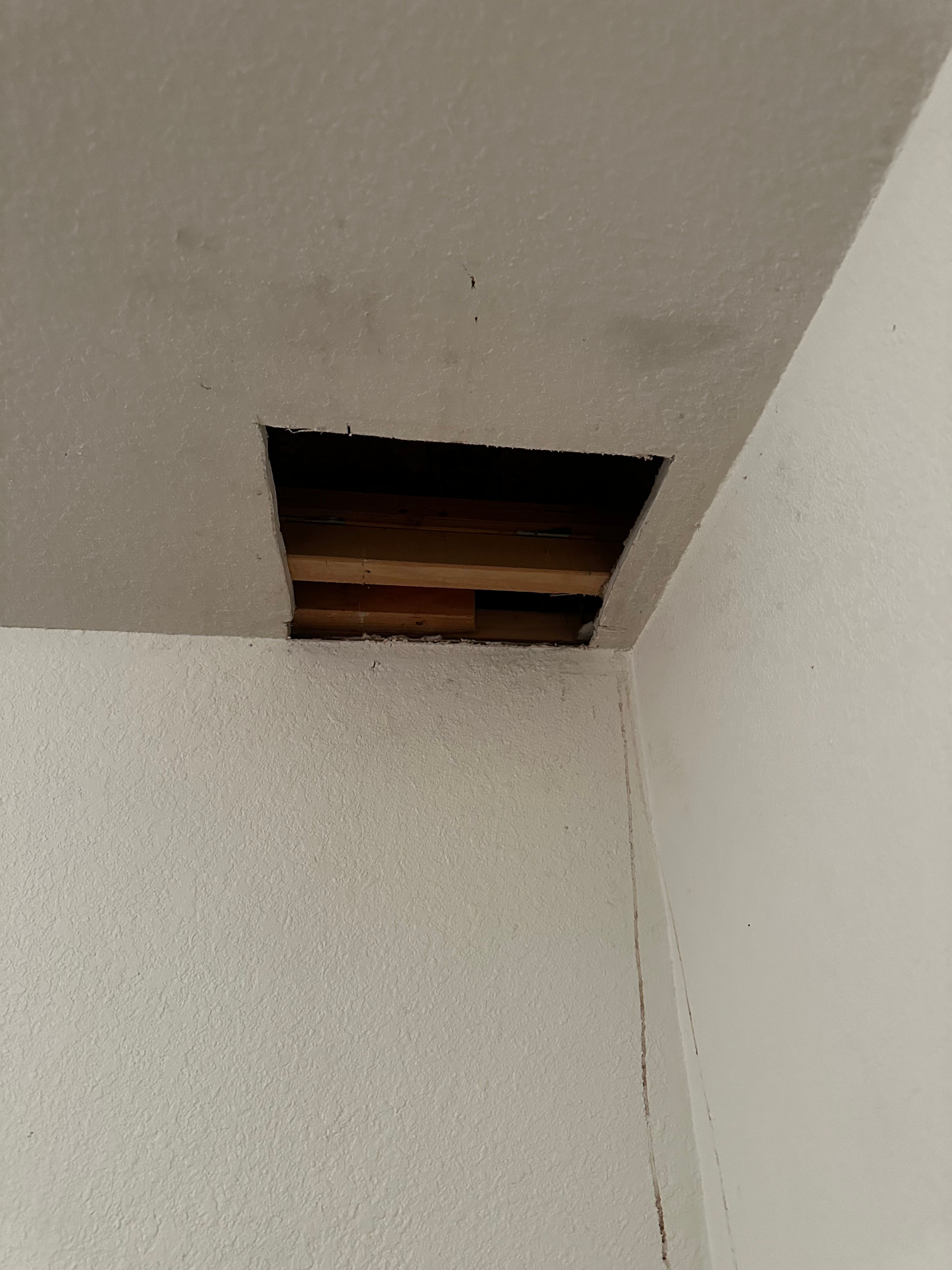  for Patch Pros LLC in Denver, CO