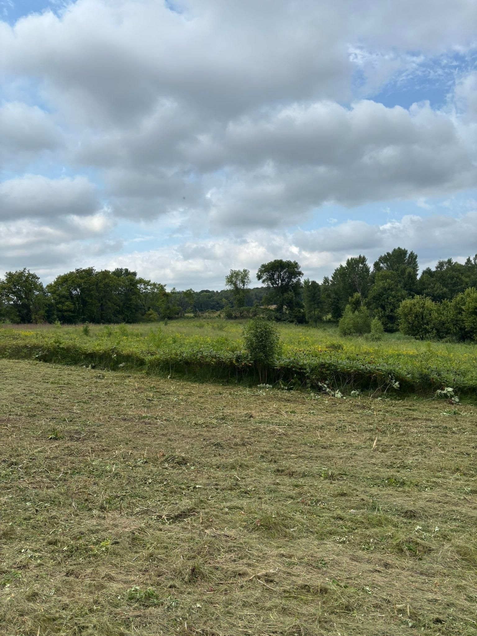  for Root Land Management in Watkins, MN