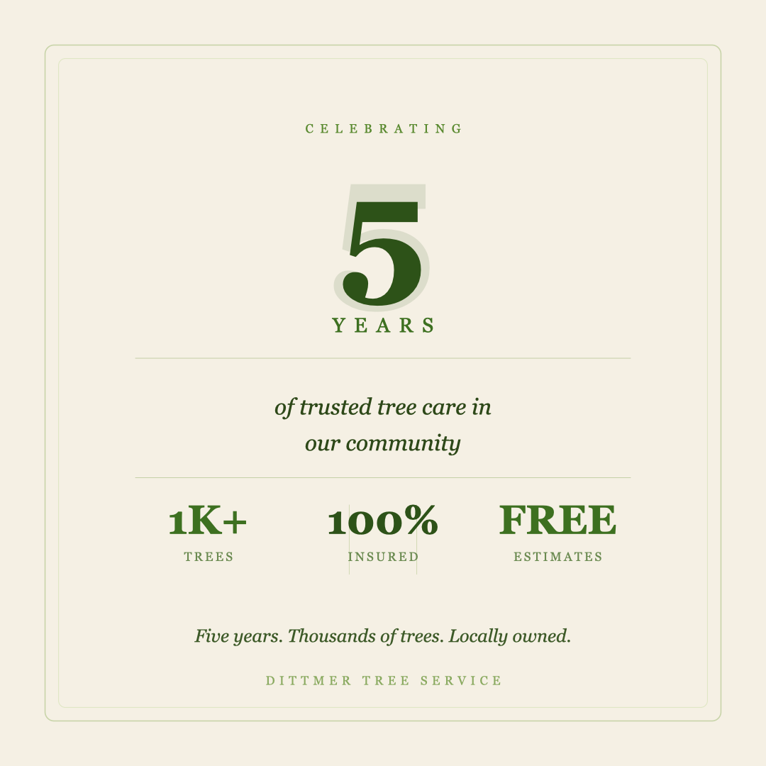 All Photos for Dittmer Tree Service in Davenport, IA