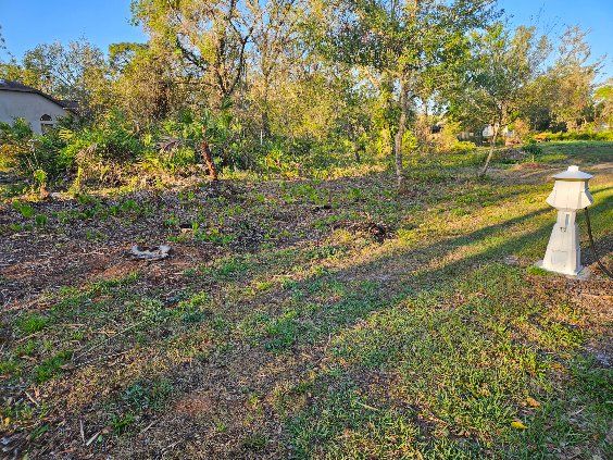  for Bay Area Bobcat in Riverview, FL