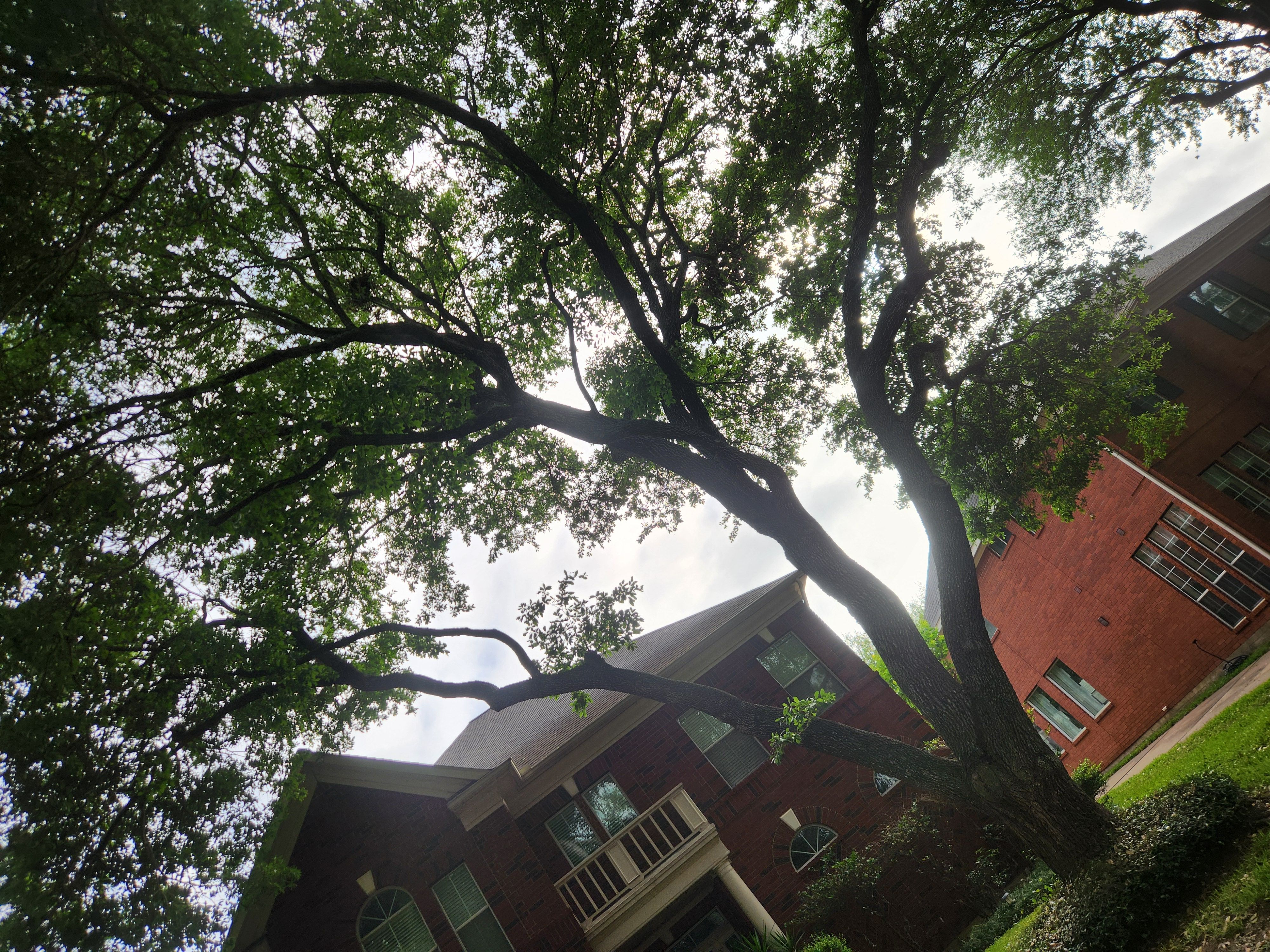  for Right Choice Landscaping LLC in Houston, TX