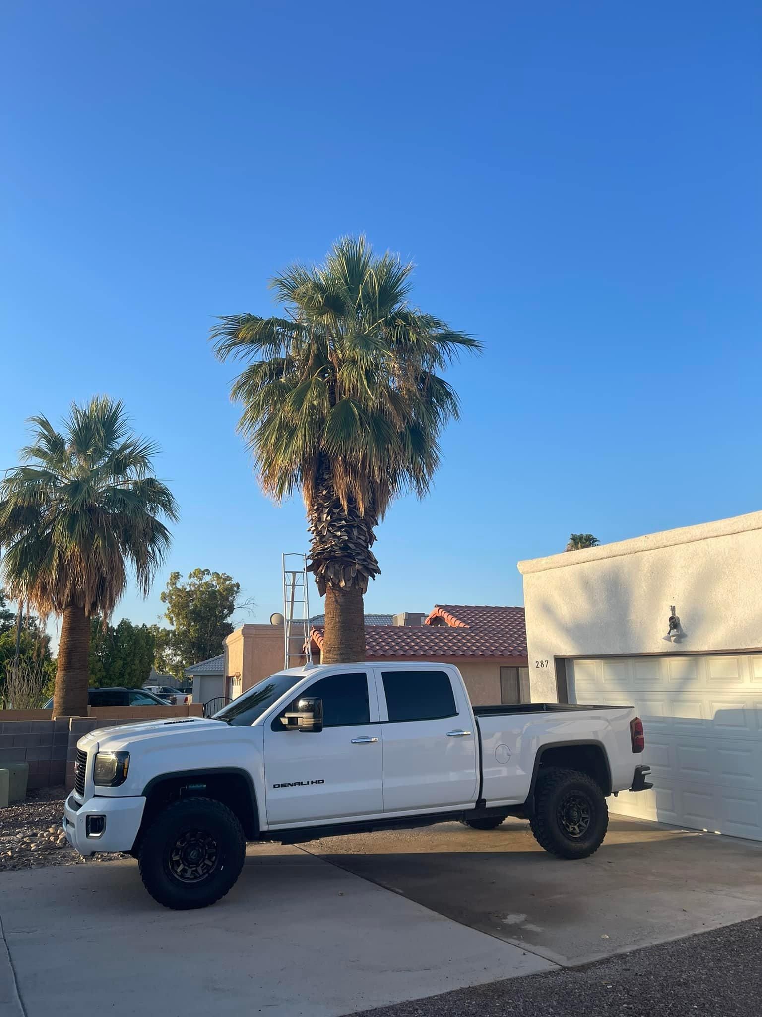  for Oliver L. Palm & Tree services in Yuma County, AZ