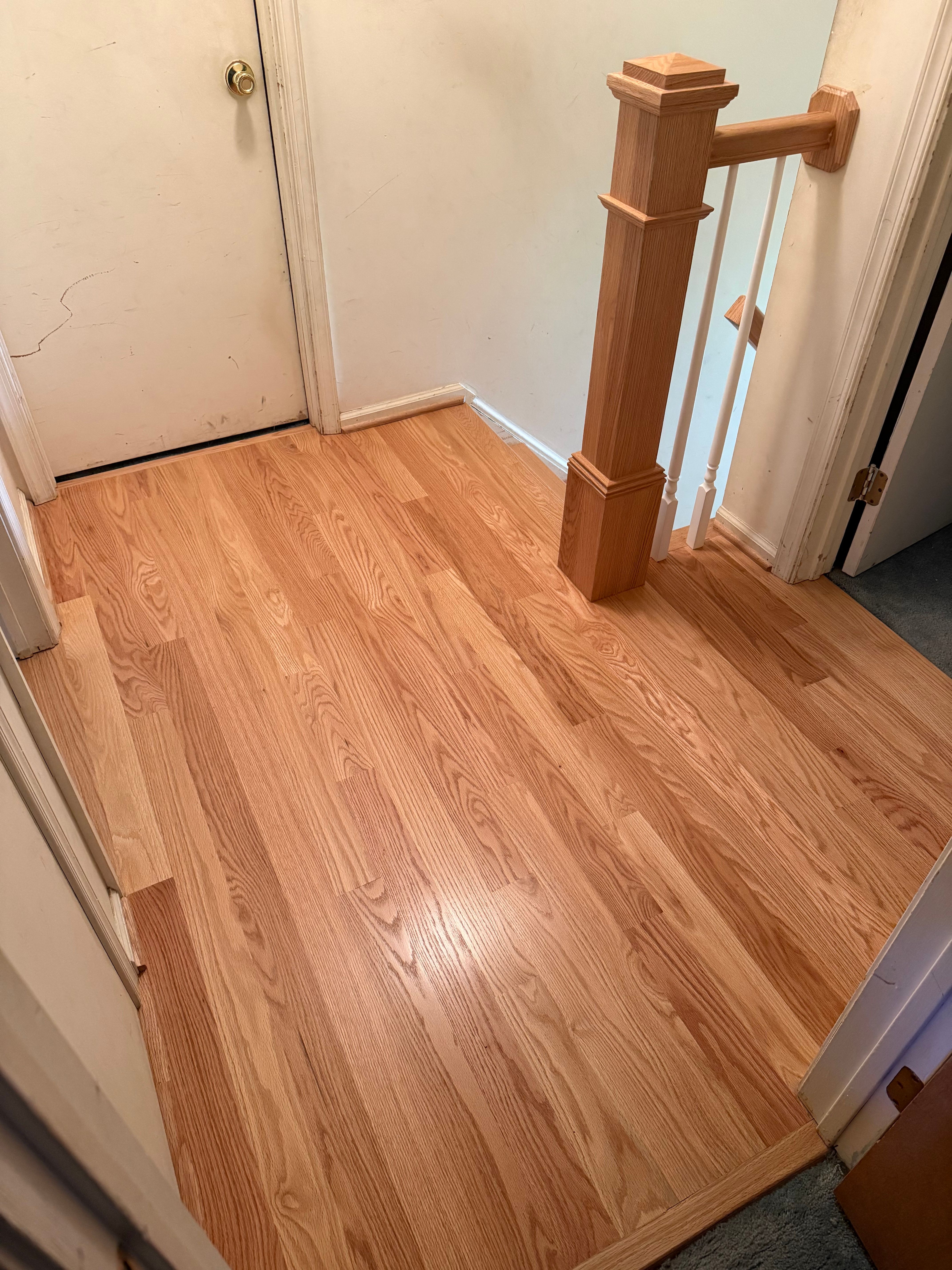  for Finely Finished LLC in Wyoming, DE
