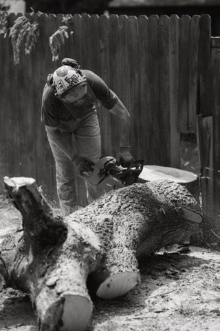 All Photos for Blu-J Tree Care in Arlington, TX