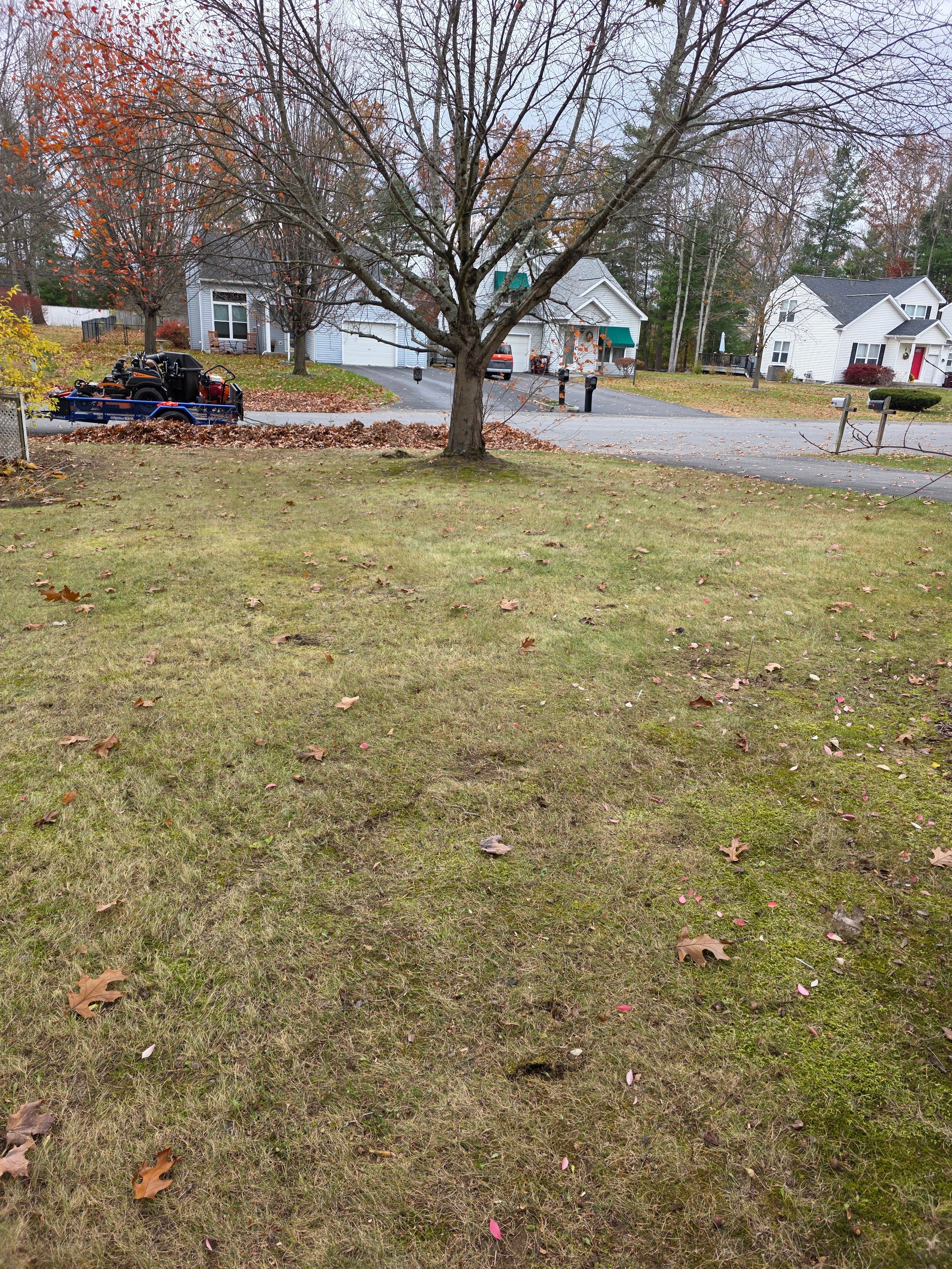  for Sweet Scapes in Ballston Spa, NY