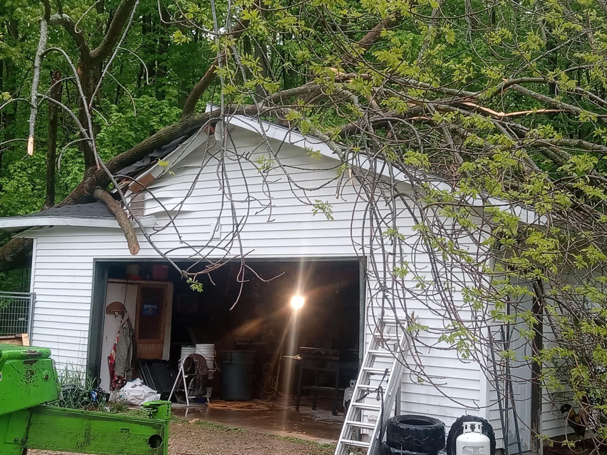  for Tree-B-Gone in Appleton, WI
