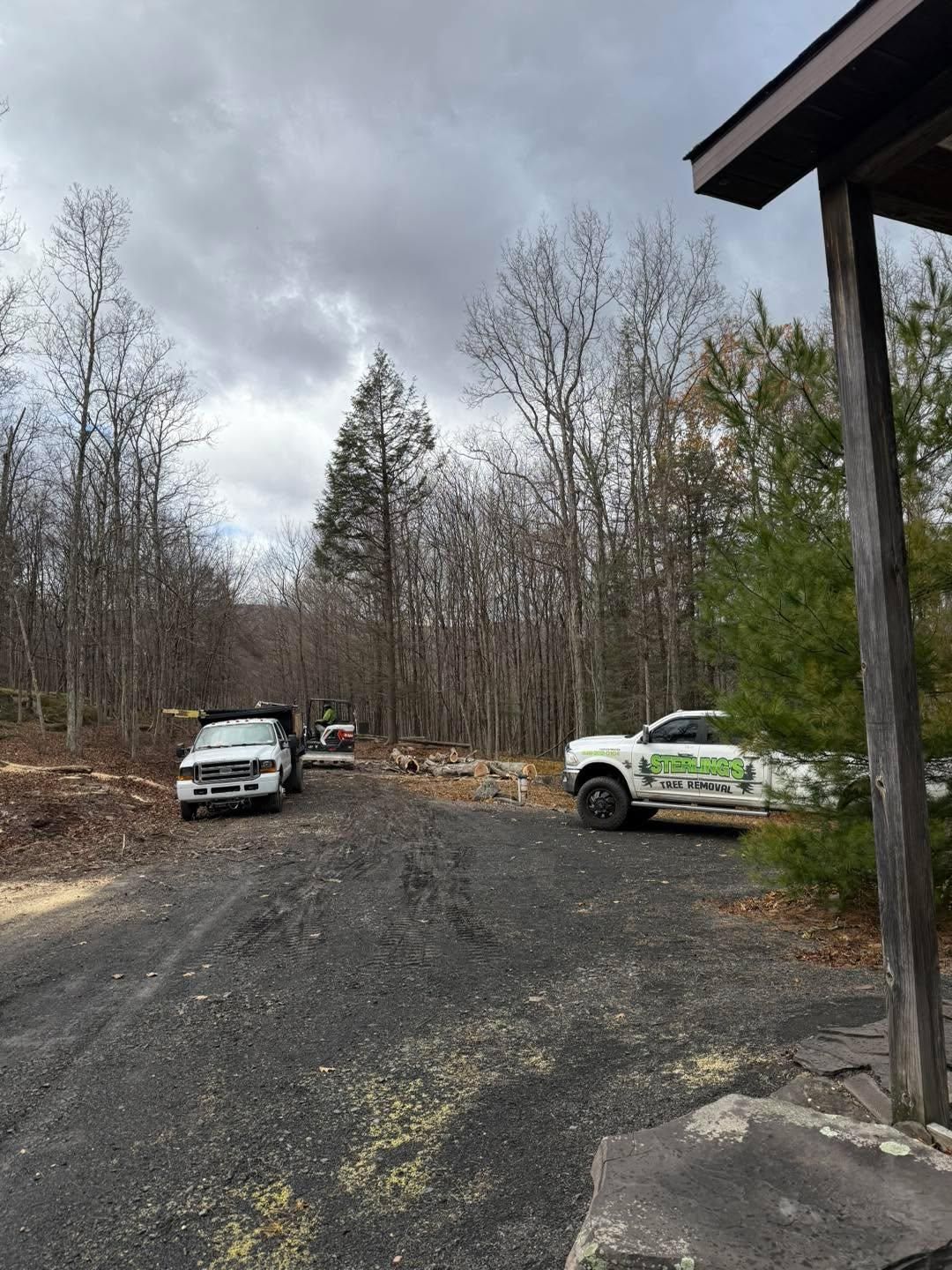  for Sterlings Tree Removal in Cobleskill, New York