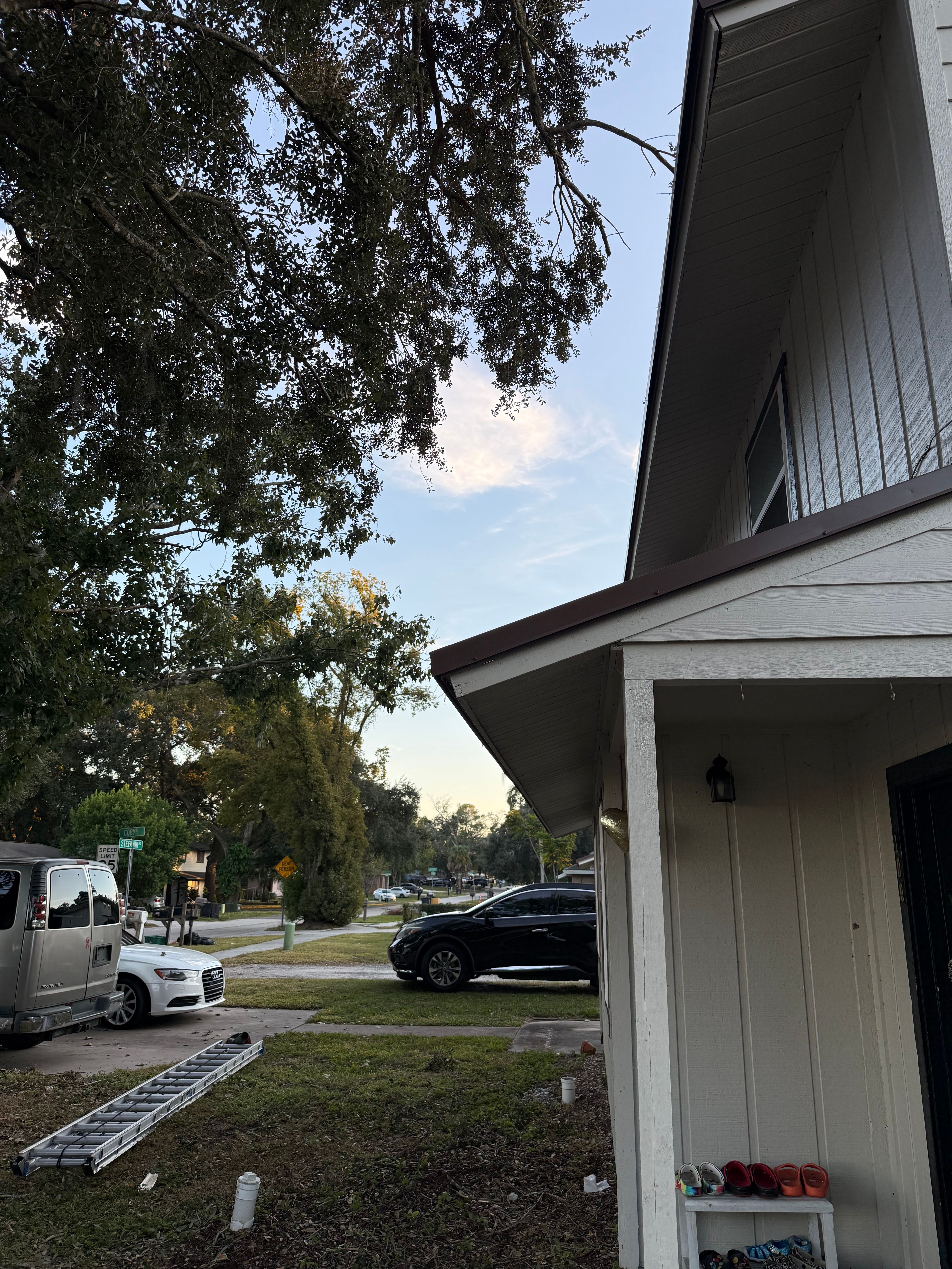  for Amerigrown Tree And Lawn in Apopka, FL