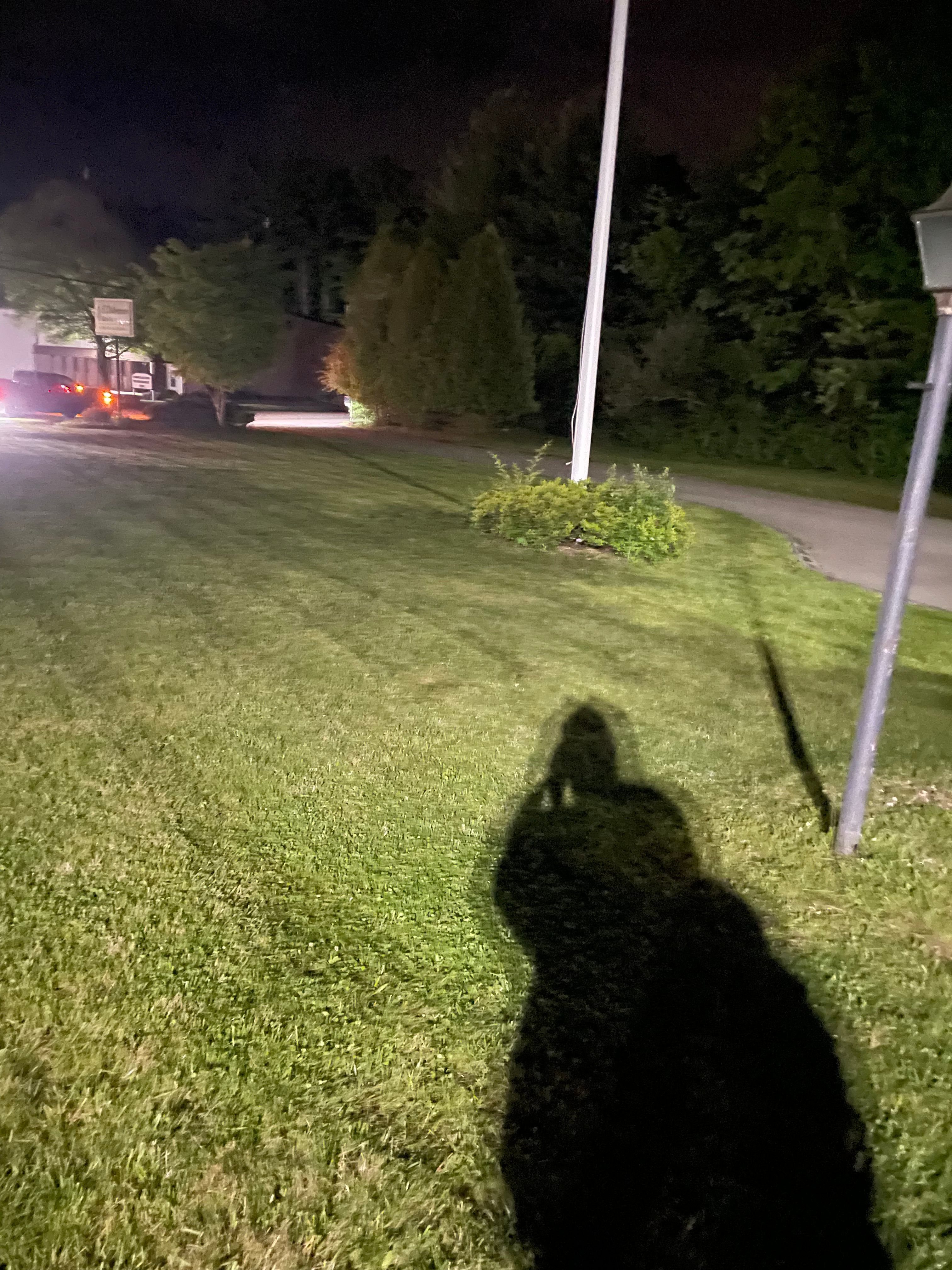  for Lucas Property Maintenance LLC in New Bedford, MA