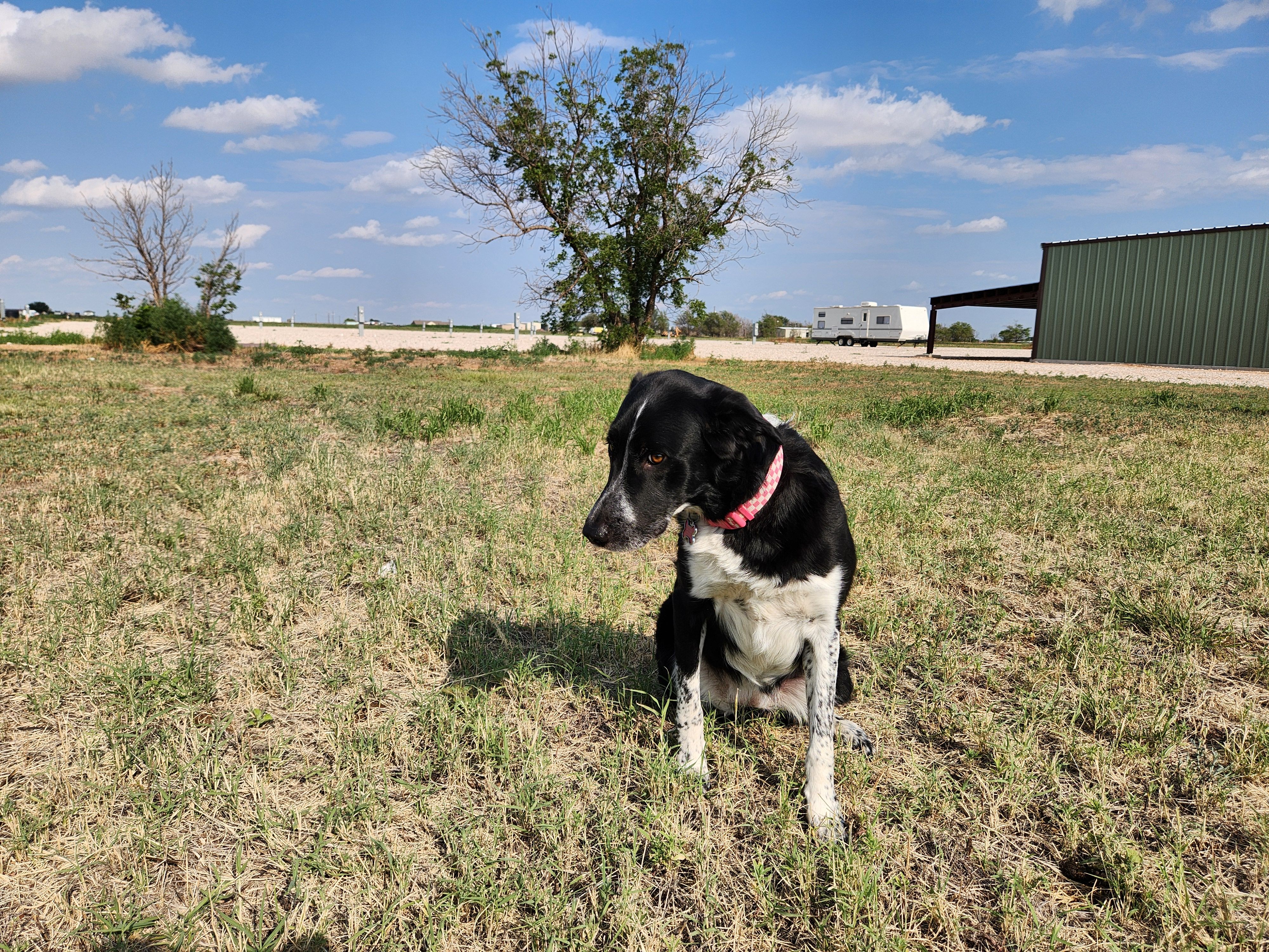 All Photos for Prairie Land Properties LLC in Lubbock, TX