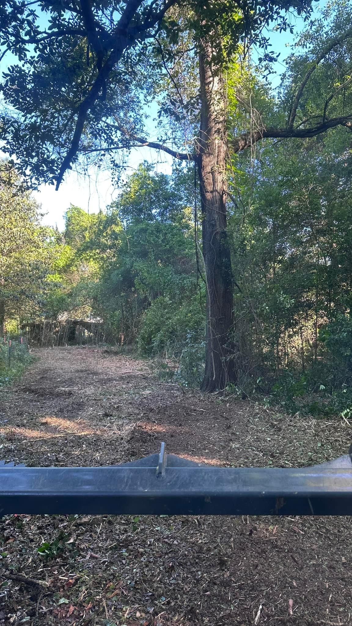 All Photos for White’s Land Maintenance in Milton,, FL