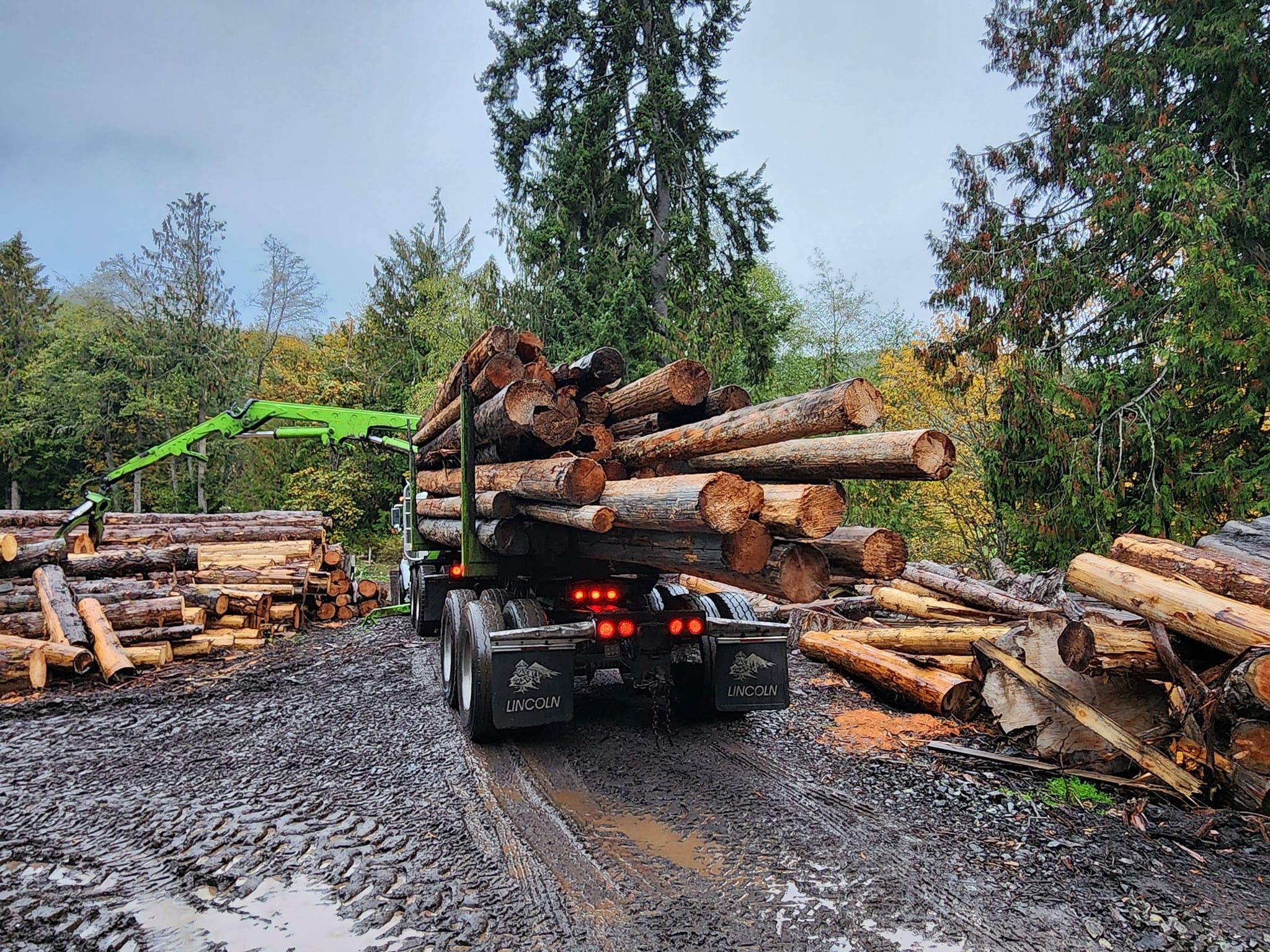  for The Baskins Sawmill in Port Angeles,  WA