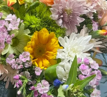  for The Dailey Daisy in Hardwick, VT