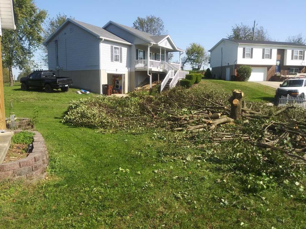 All Photos for Houtz Tree Service in Lexington, KY