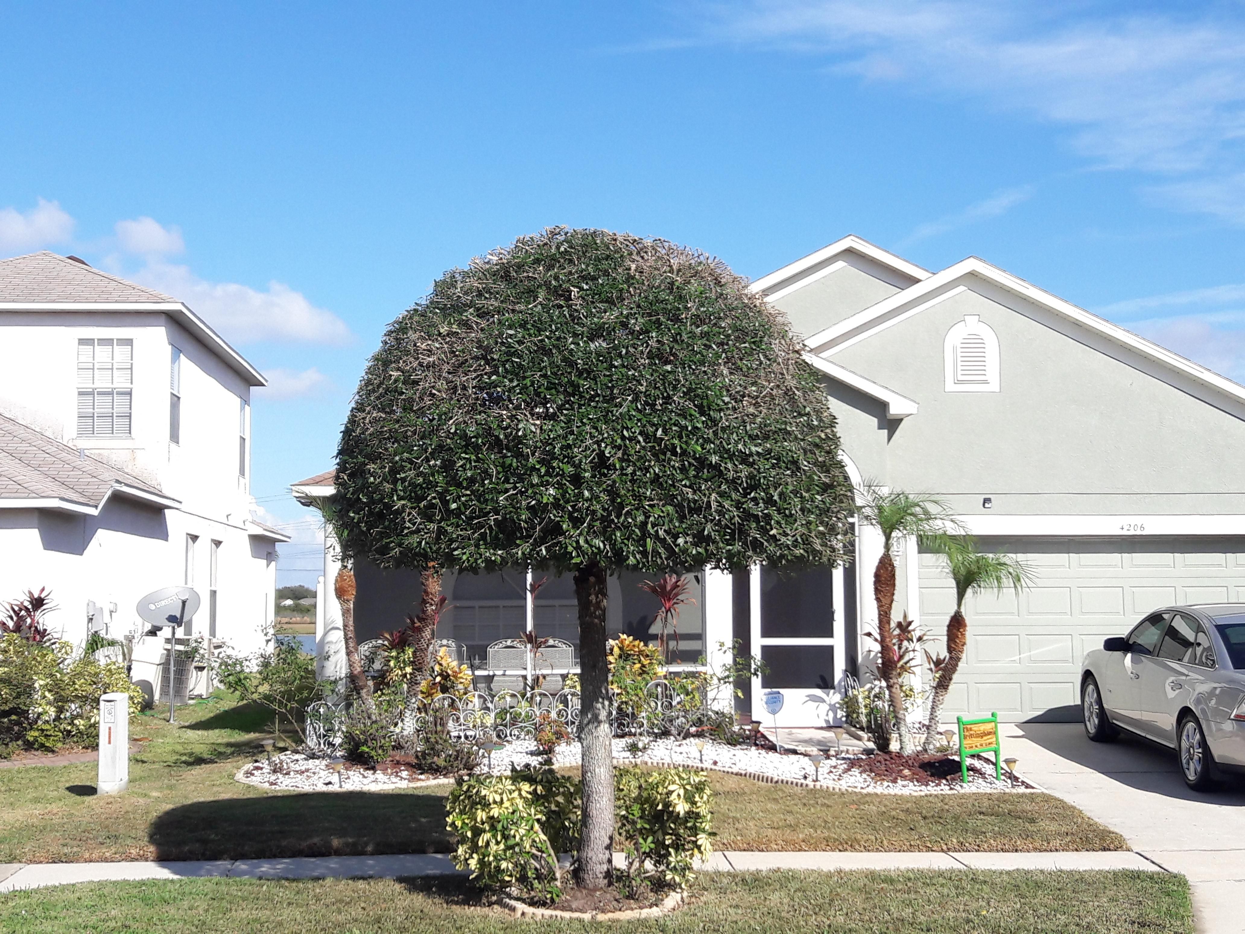  for 1 Friendly Lawn Service in Tampa, FL