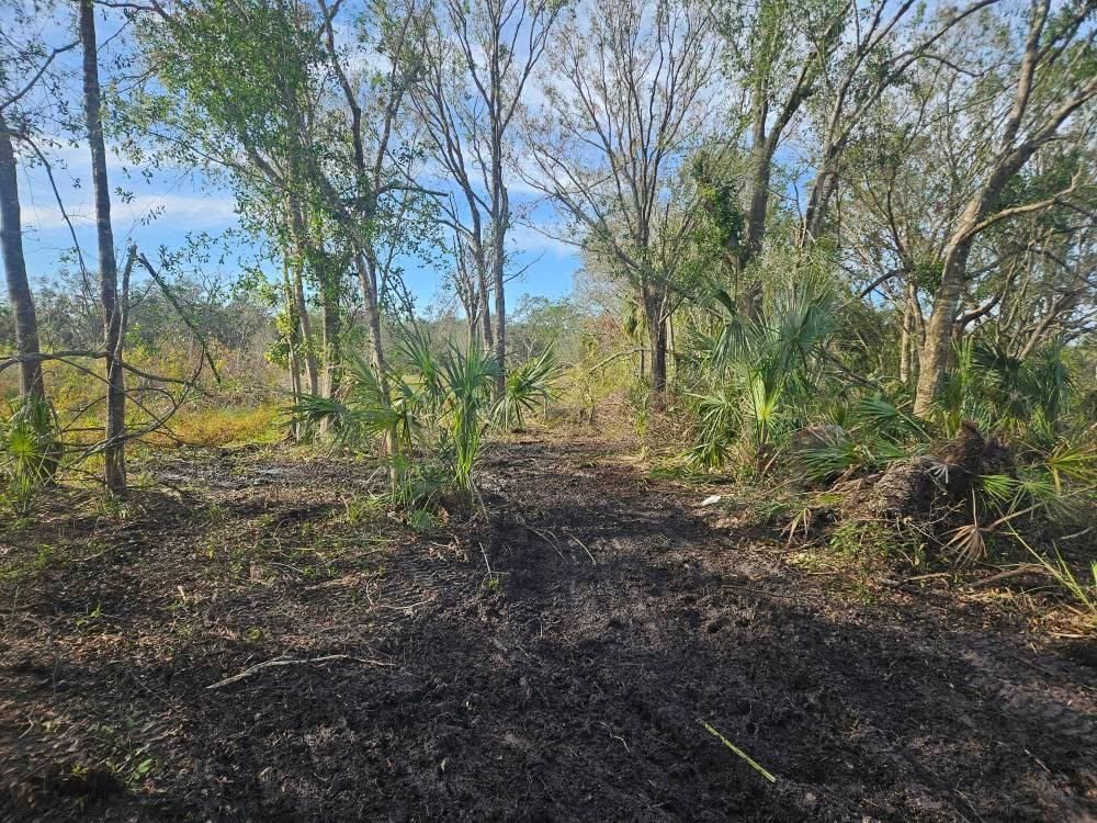 All Photos for Bay Area Bobcat in Riverview, FL