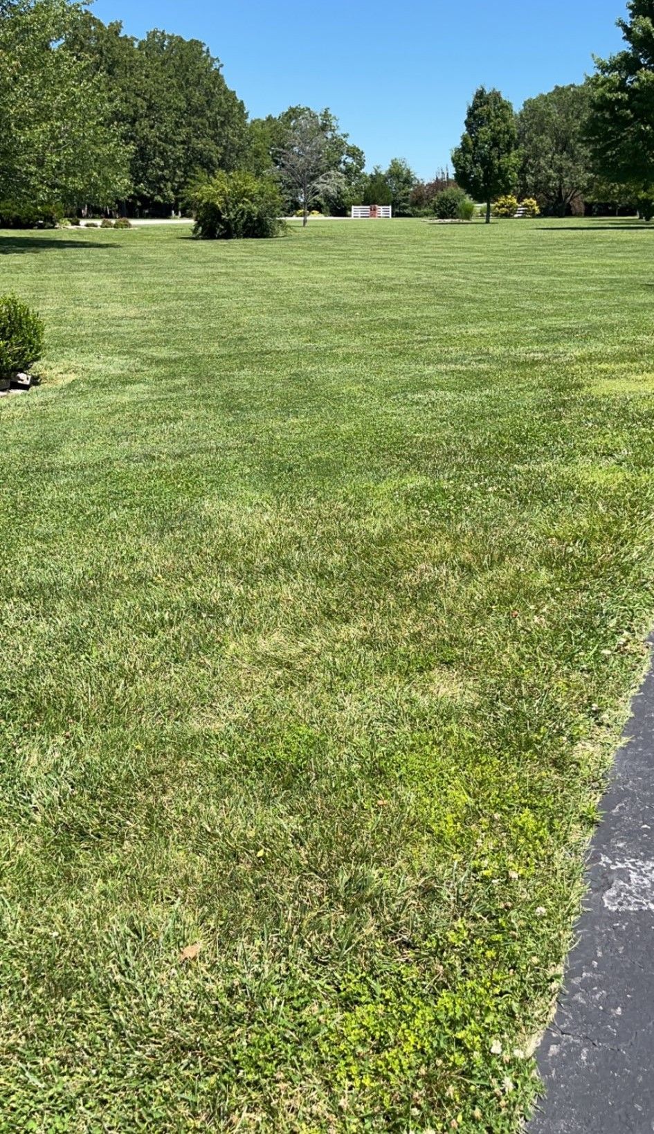 Lawn Care for Wright Lawn Services in Ozark, MO