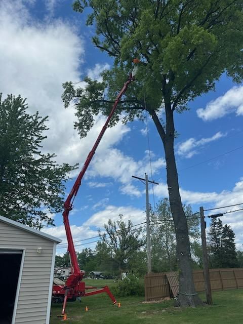  for Hendricks Tree Service in Belleville, IL
