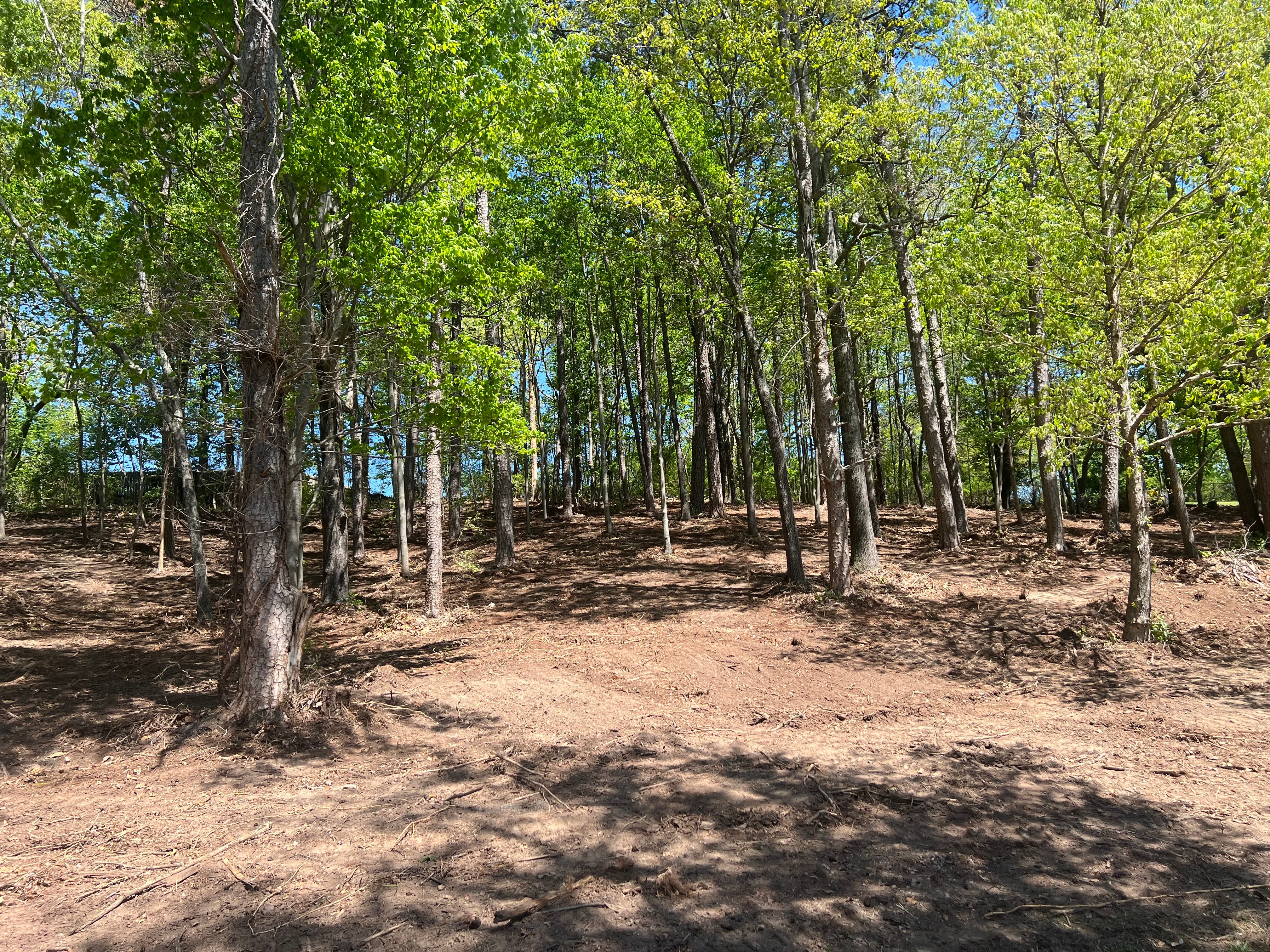 All Photos for F&CO Excavation in Clinton, TN