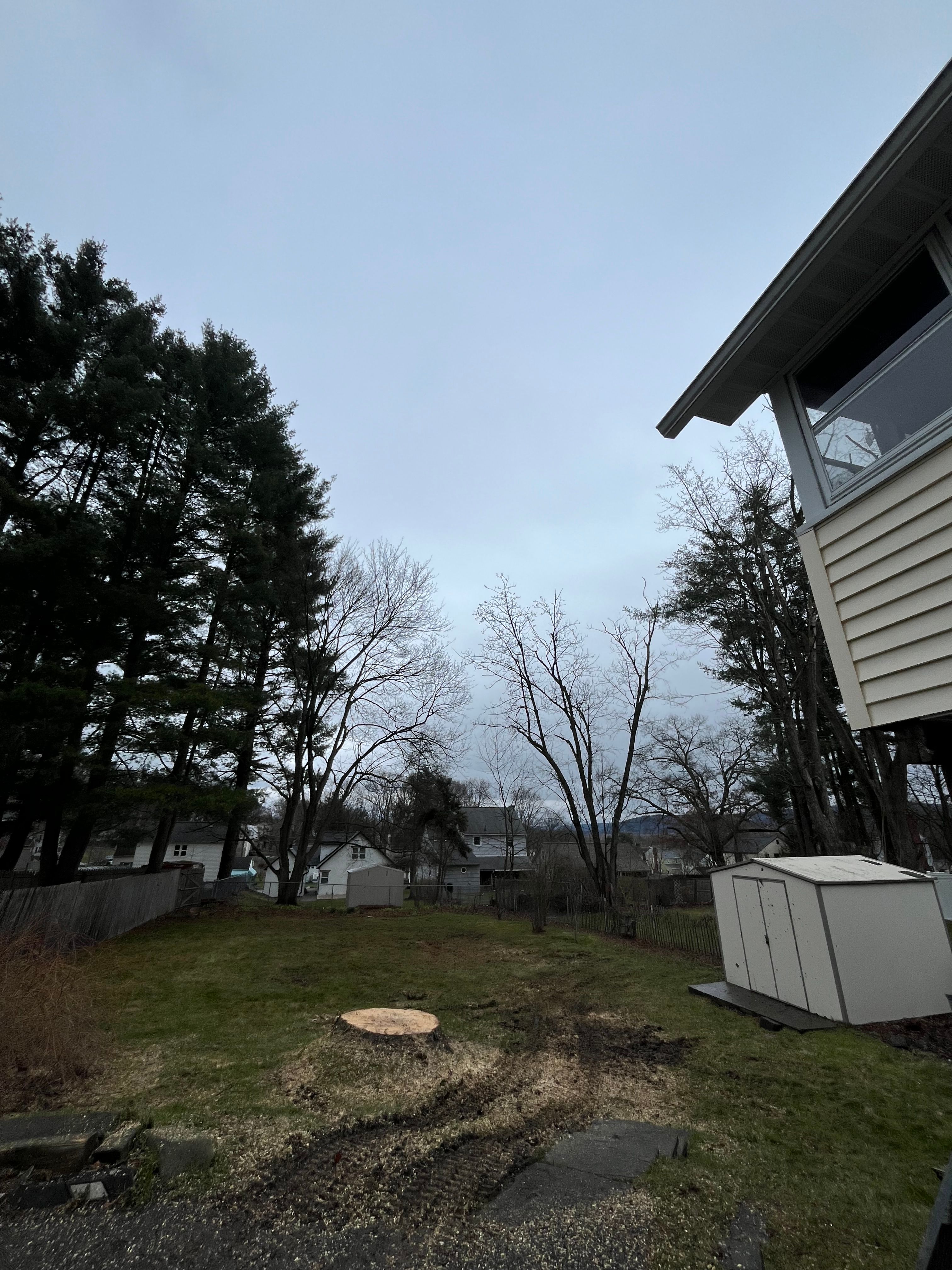 Tree Removal for Licensed to Cut Tree Service in Athens, PA