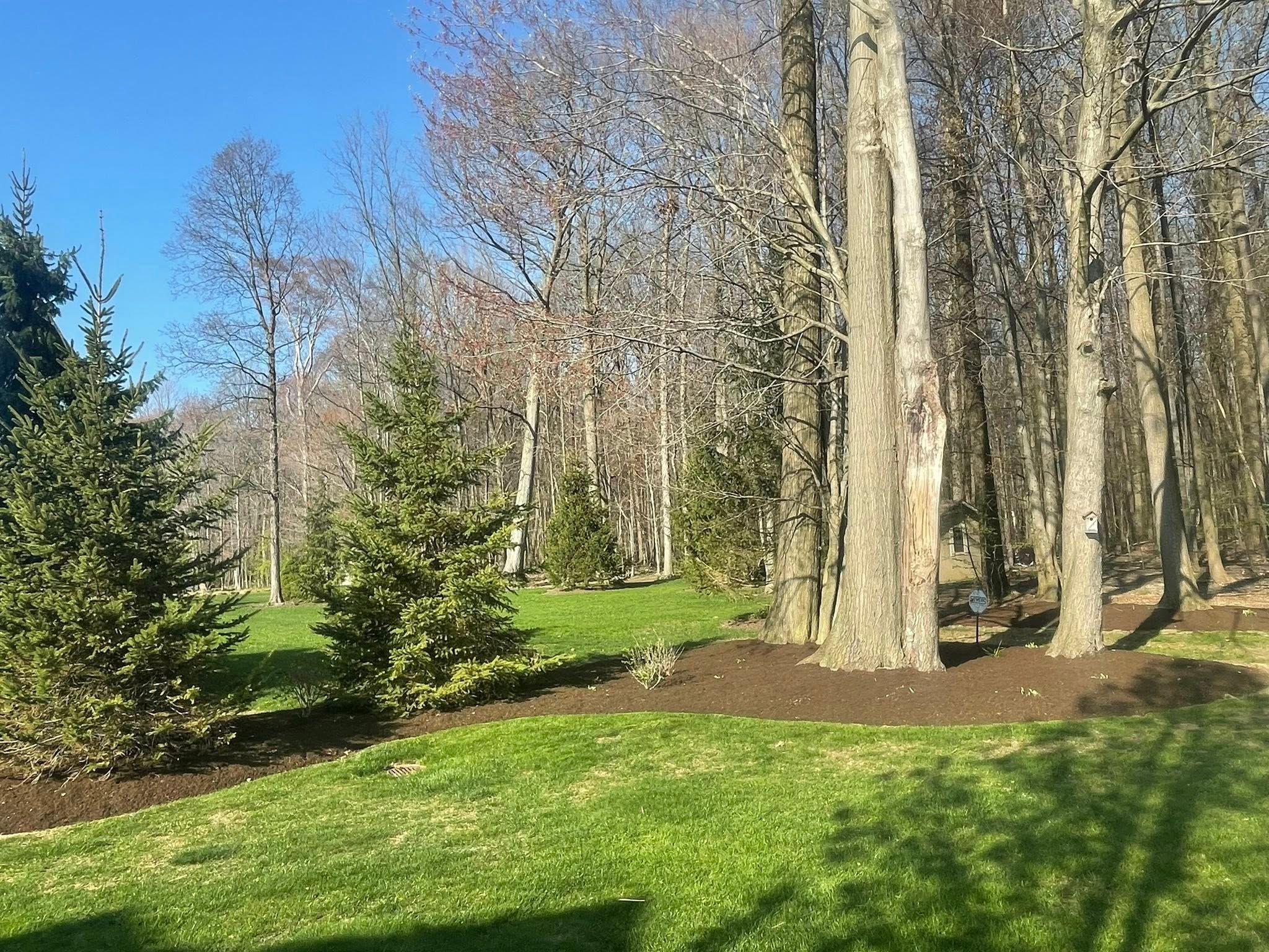  for Reynoso’s Fencing & Lawn Care in Painesville, OH