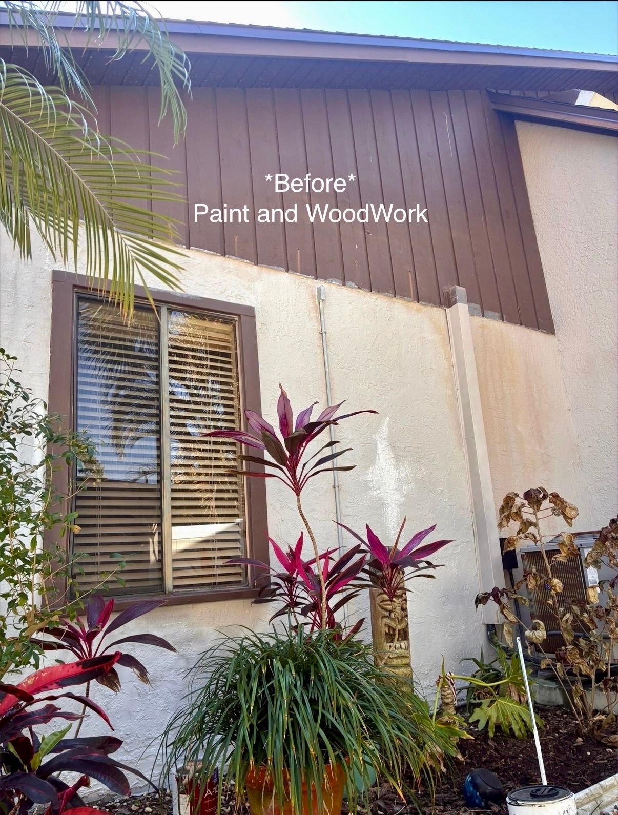 All Photos for Paps Painting in Brevard county, FL