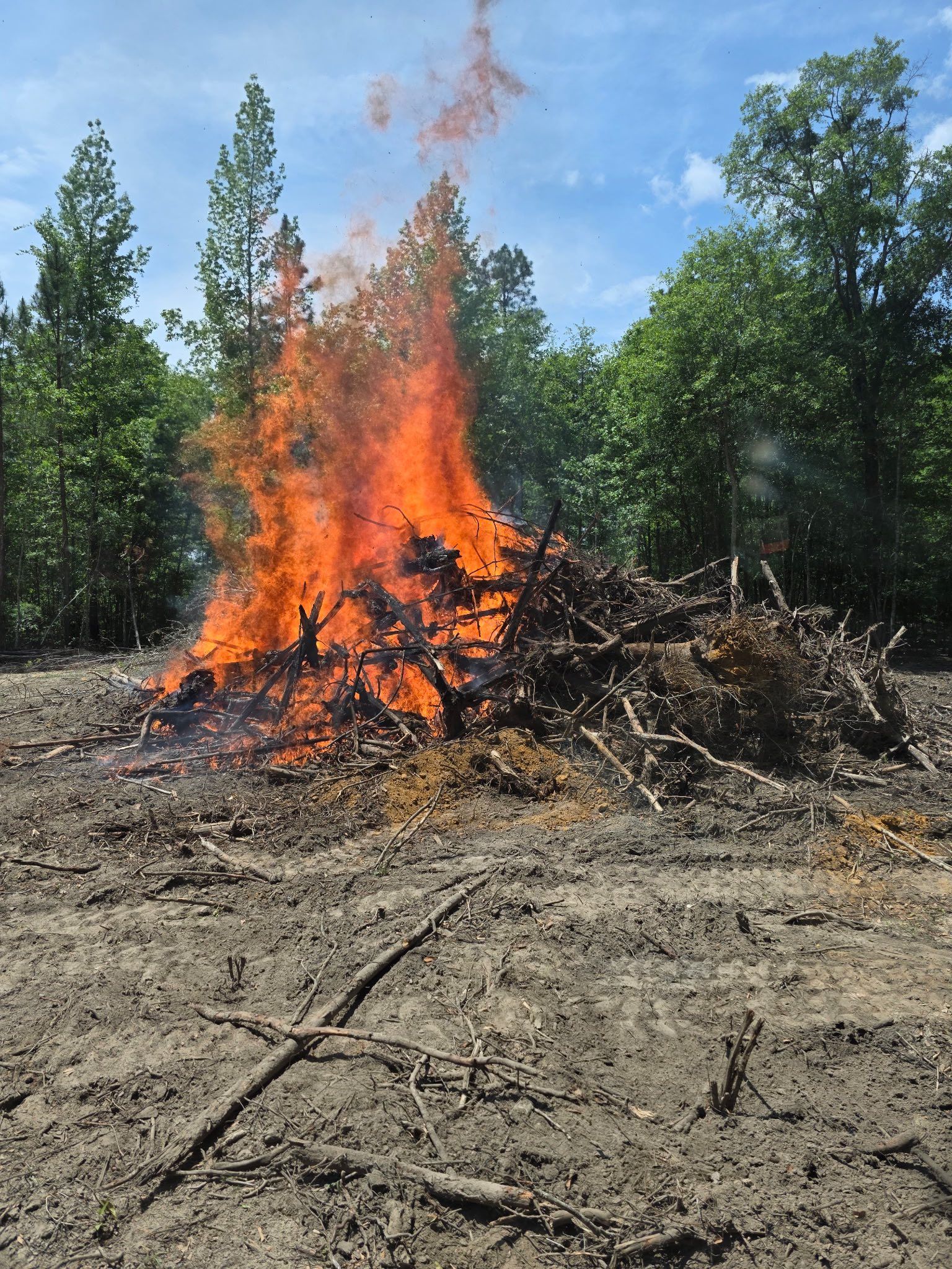 Tree Removal for Page Outdoor Services in Wrightsville, GA