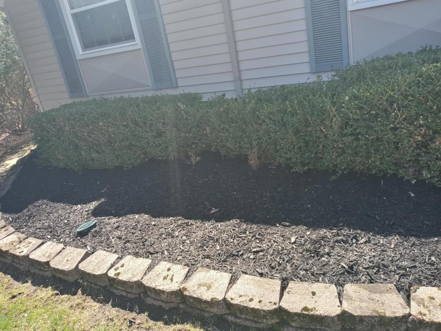  for Mow Pros in Westland, MI