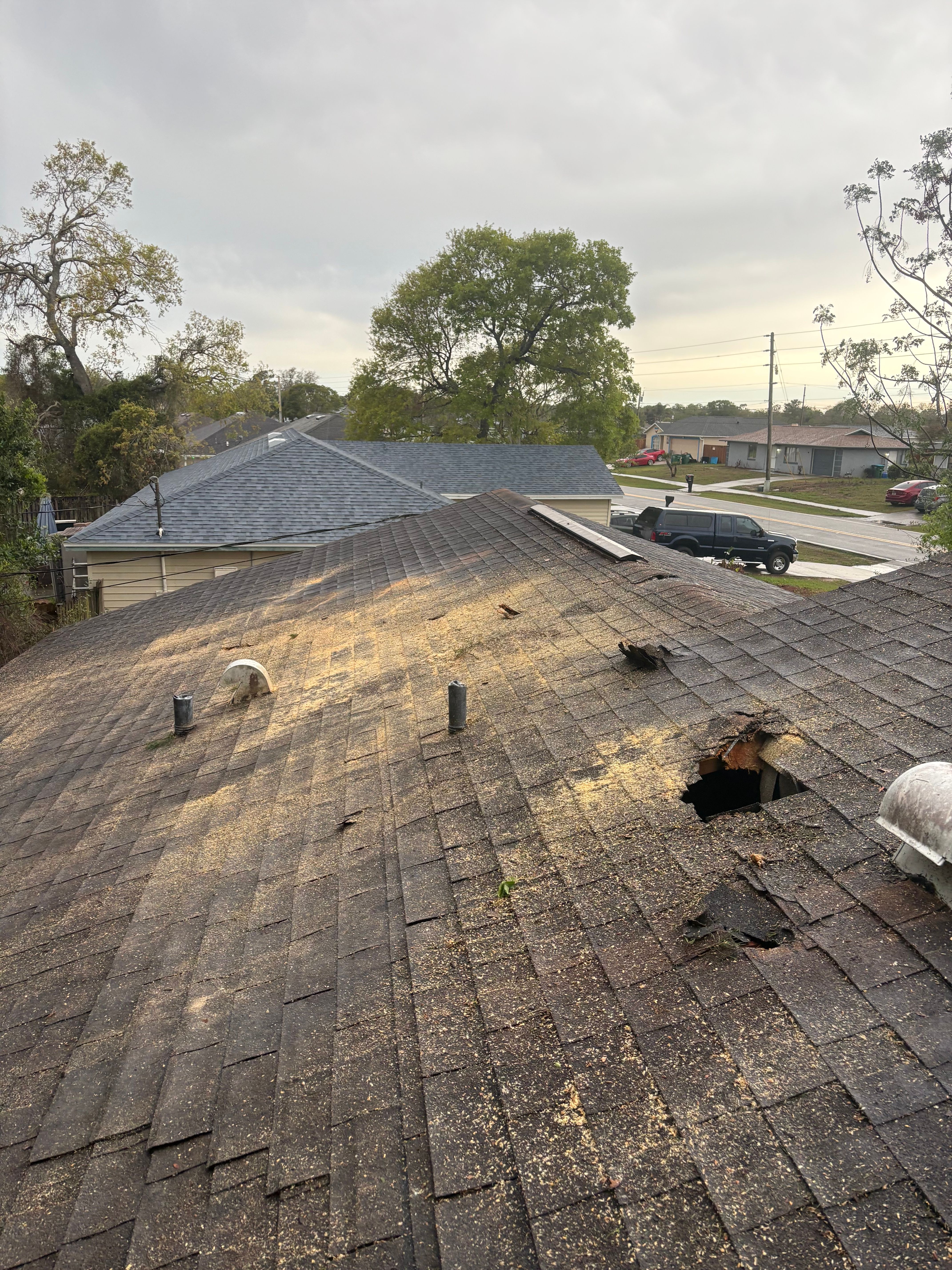  for Amerigrown Tree And Lawn in Apopka, FL