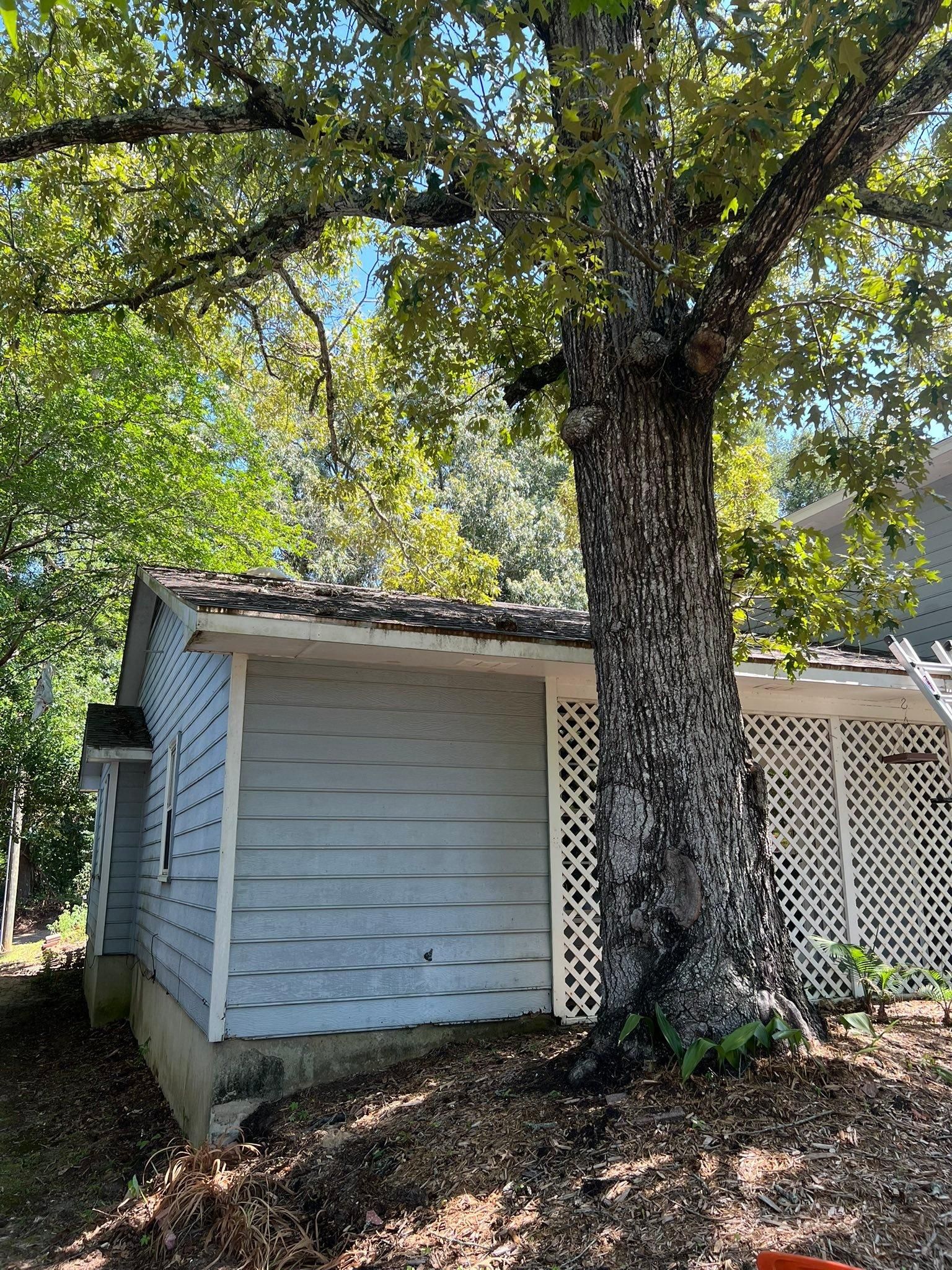  for Southern Venom Services in Daphne, AL