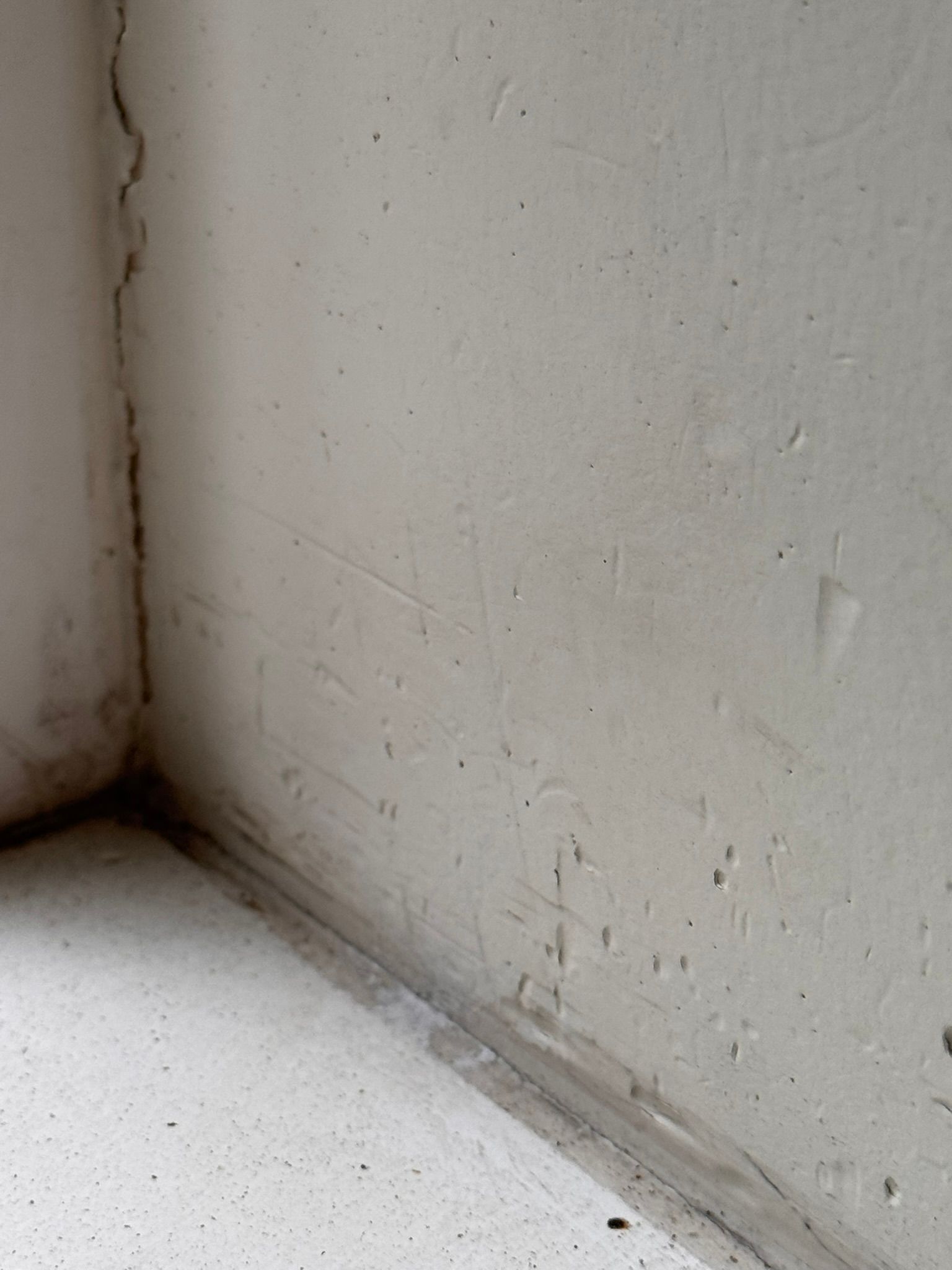  for Tony's Remodeling & Painting in Renton, WA