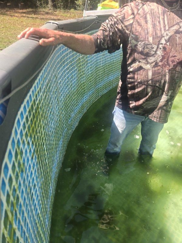  for Down & Dirty Pool Service in Crawfordville, FL