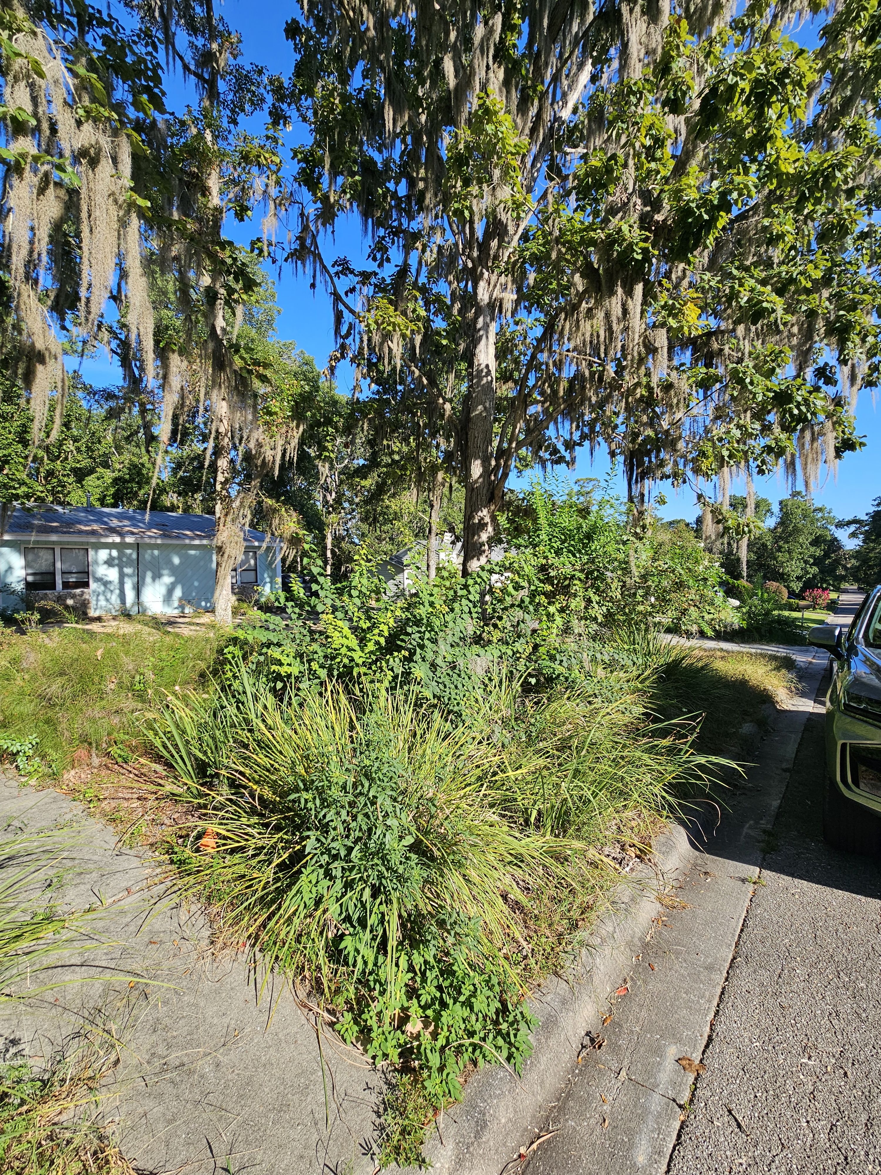  for Deeper Roots Landscape in High Springs, FL