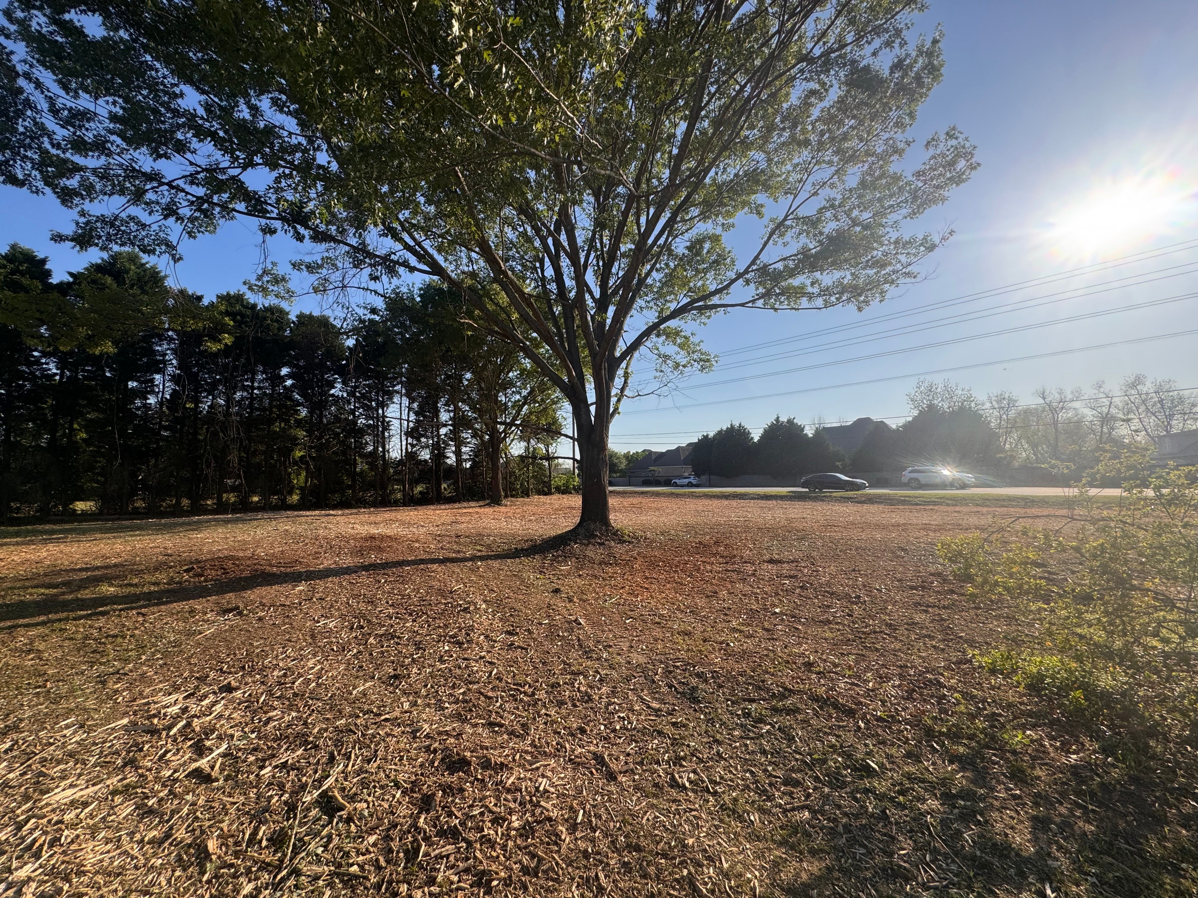  for Bryant's Land Services in Forsyth, GA