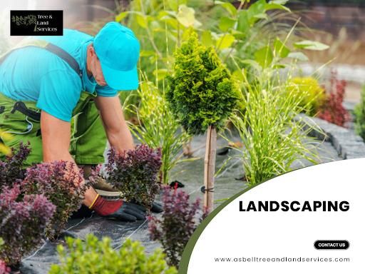 All Photos for Asbell's Tree & Land Services in Gilchrist County, FL