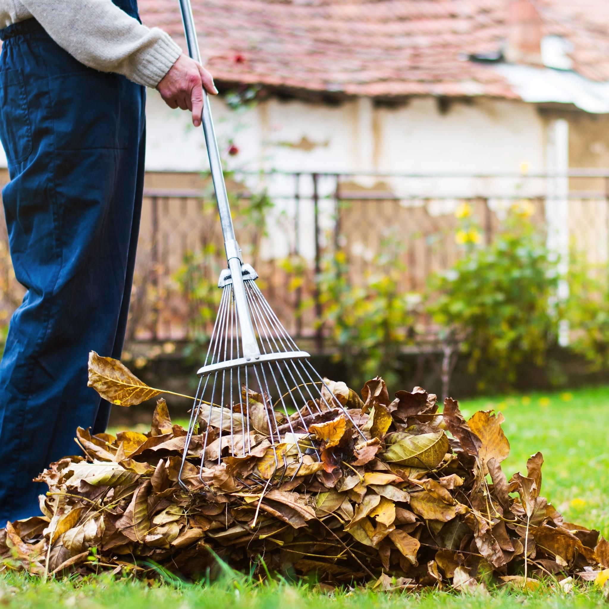  for TopNotch Landscaping Services  in The Villages, FL