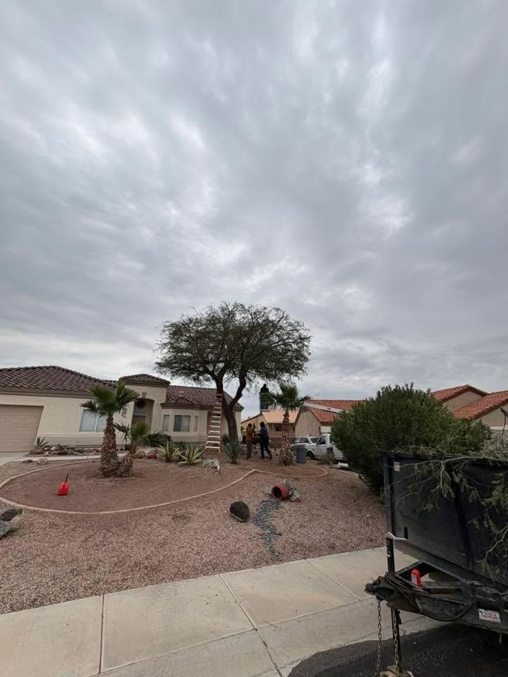  for Top Notch Landscape Services LLC in Mohave Valley, AZ