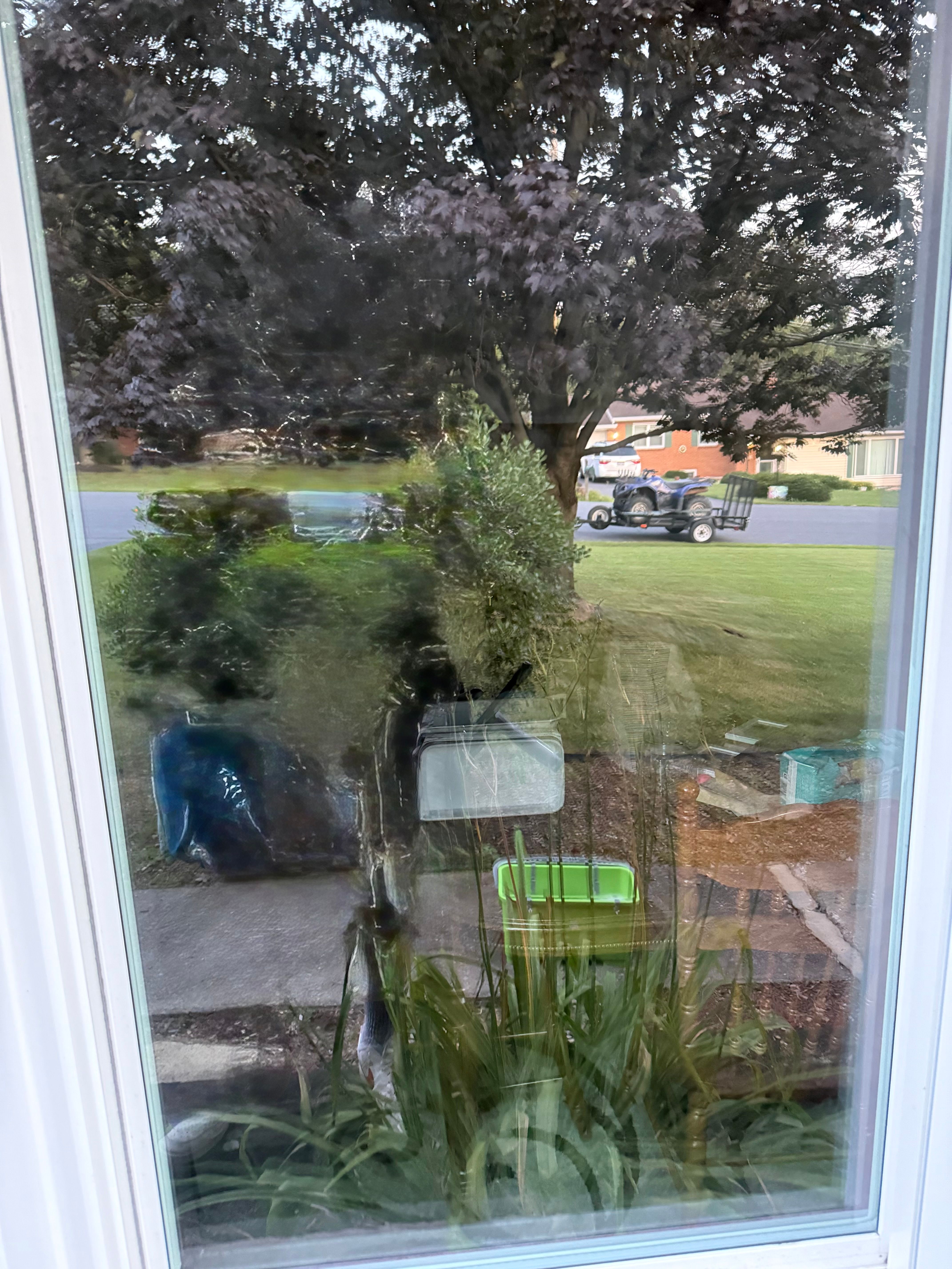  for Wehler’s Clean Windows LLC in Saint Marys, PA