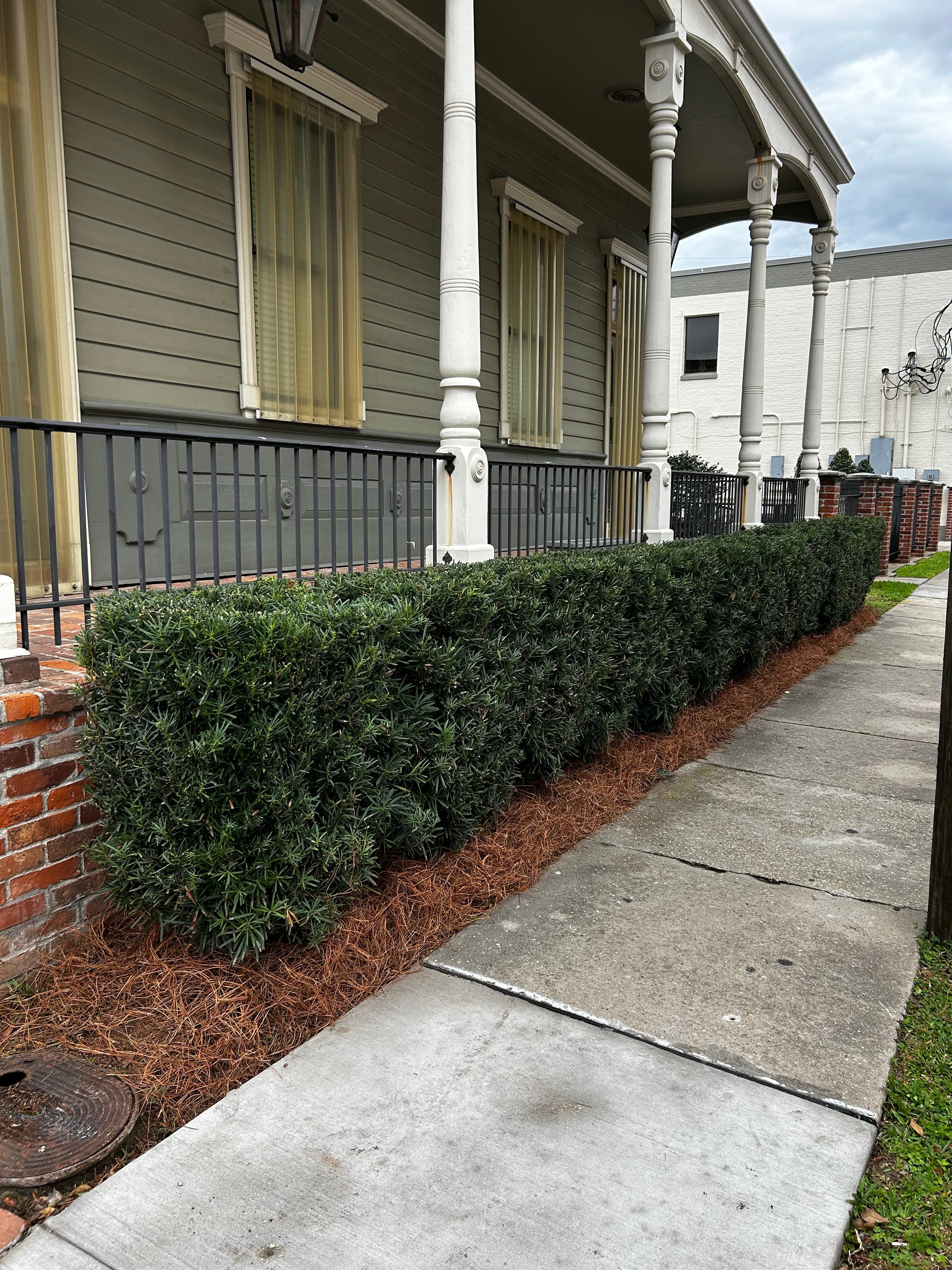  for Jay C’s Touch Landscaping & Pressure Washing Services LLC in Marrero, LA