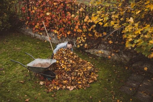  for JB Enterprise Lawn Care and Snow Removal in Janesville, WI