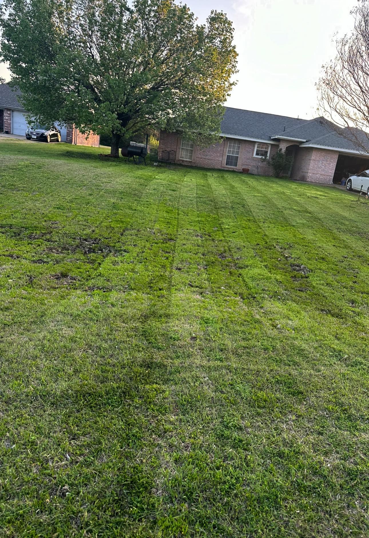 All Photos for Green Scapes Landscaping in Terrell, TX